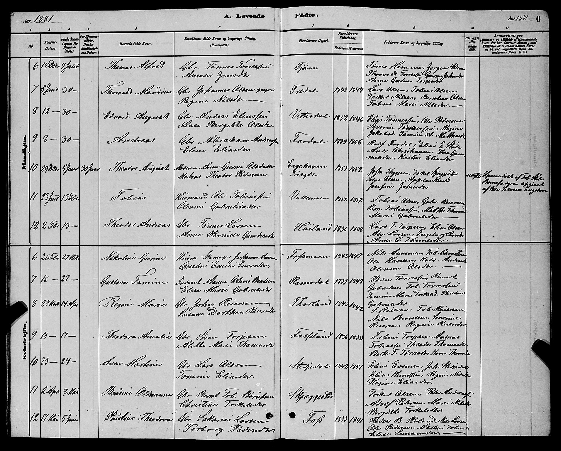 Sør-Audnedal sokneprestkontor, AV/SAK-1111-0039/F/Fb/Fbb/L0005: Parish register (copy) no. B 5, 1880-1892, p. 6