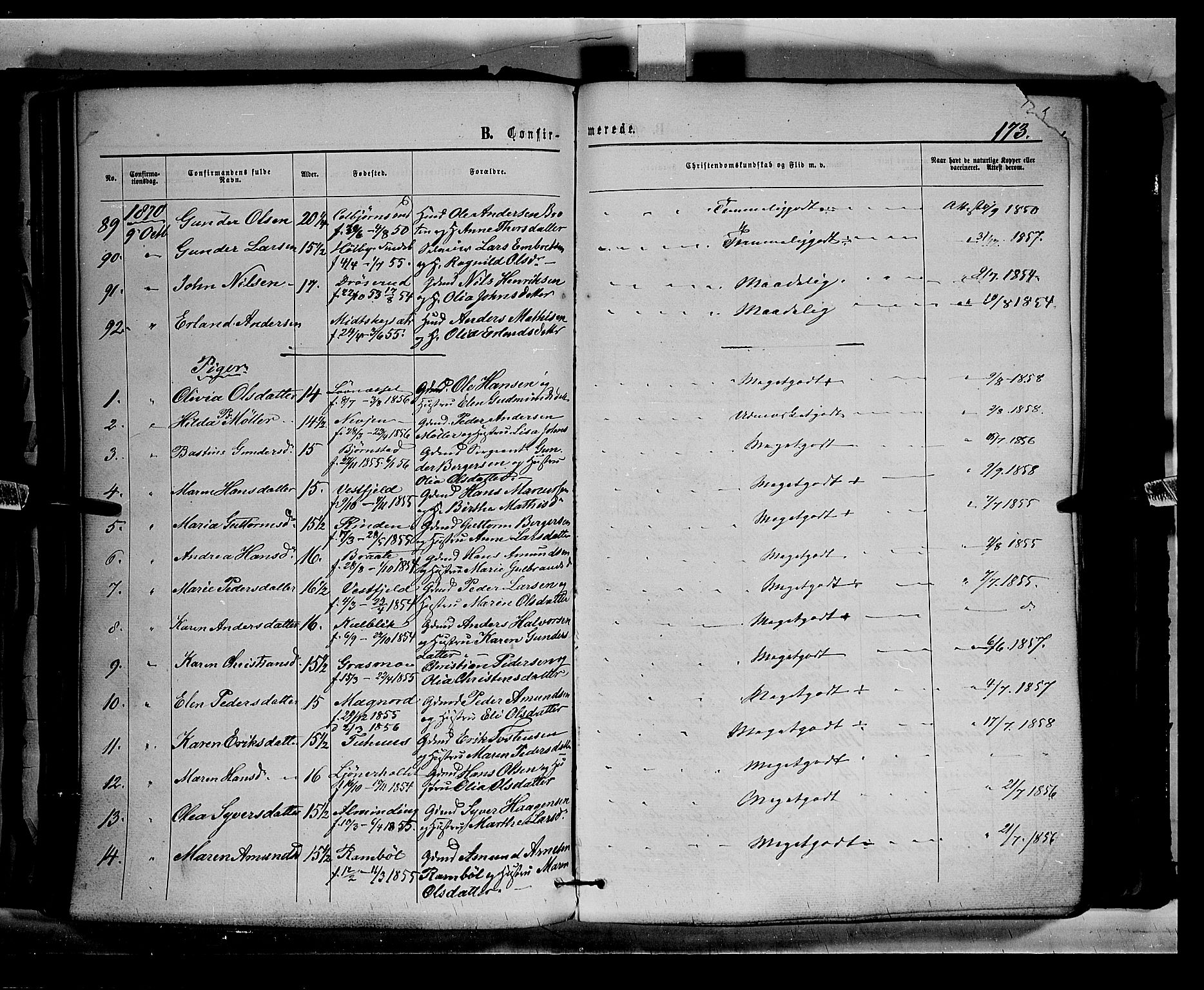 Eidskog prestekontor, AV/SAH-PREST-026/H/Ha/Haa/L0002: Parish register (official) no. 2, 1867-1878, p. 173