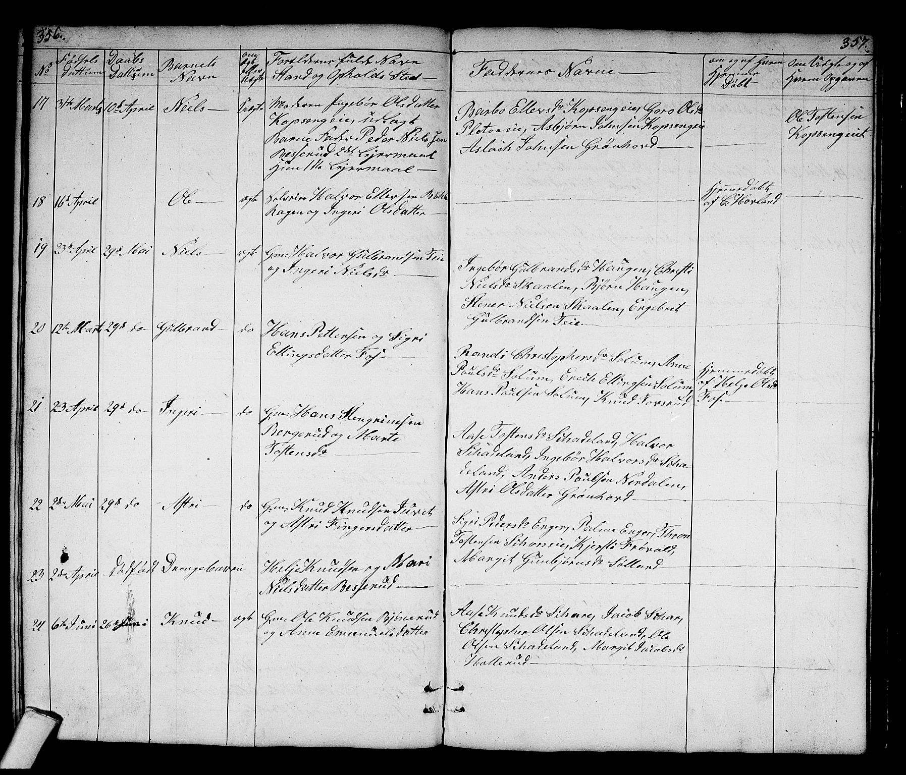 Sigdal kirkebøker, AV/SAKO-A-245/G/Gb/L0001: Parish register (copy) no. II 1, 1841-1874, p. 356-357