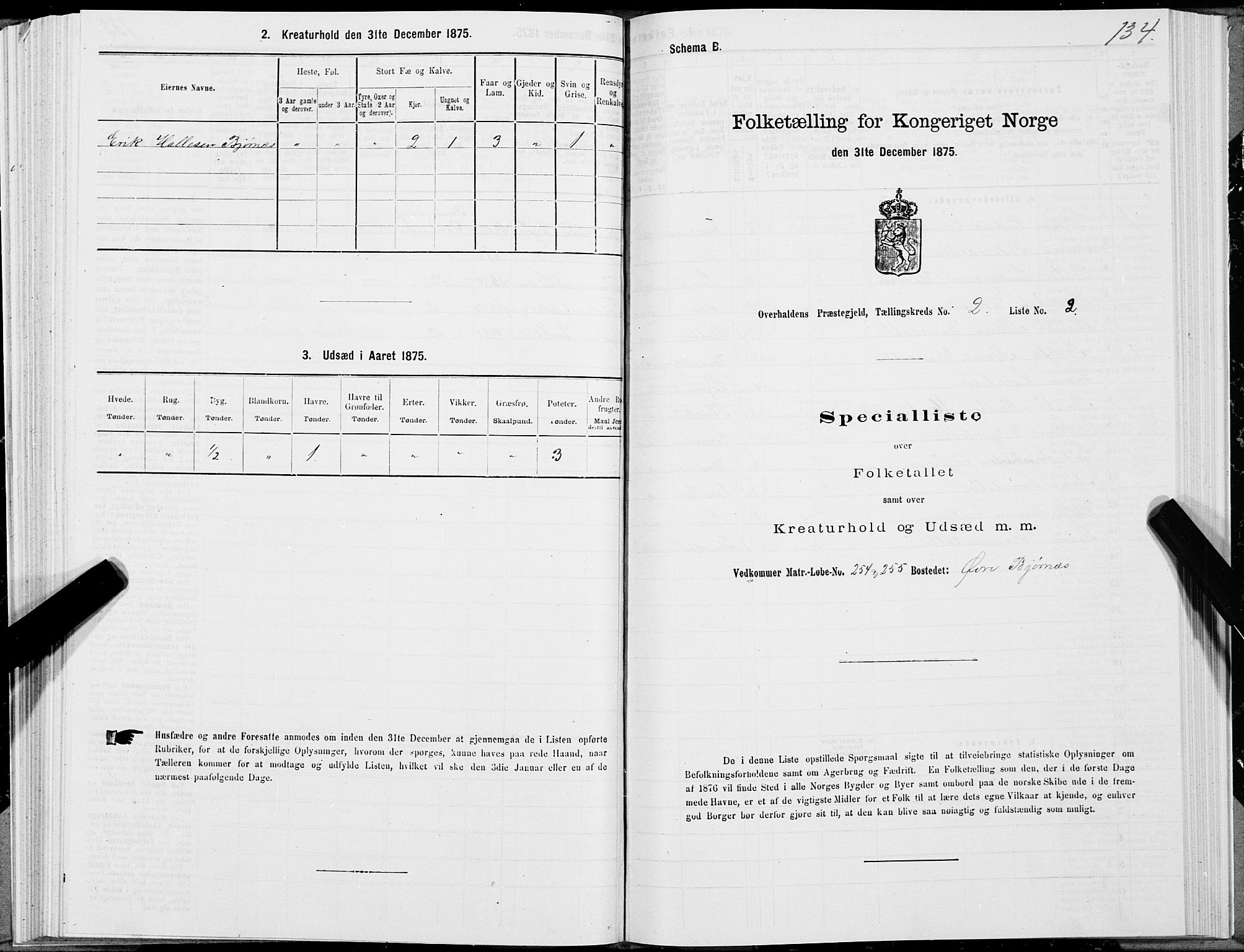 SAT, 1875 census for 1744P Overhalla, 1875, p. 1134