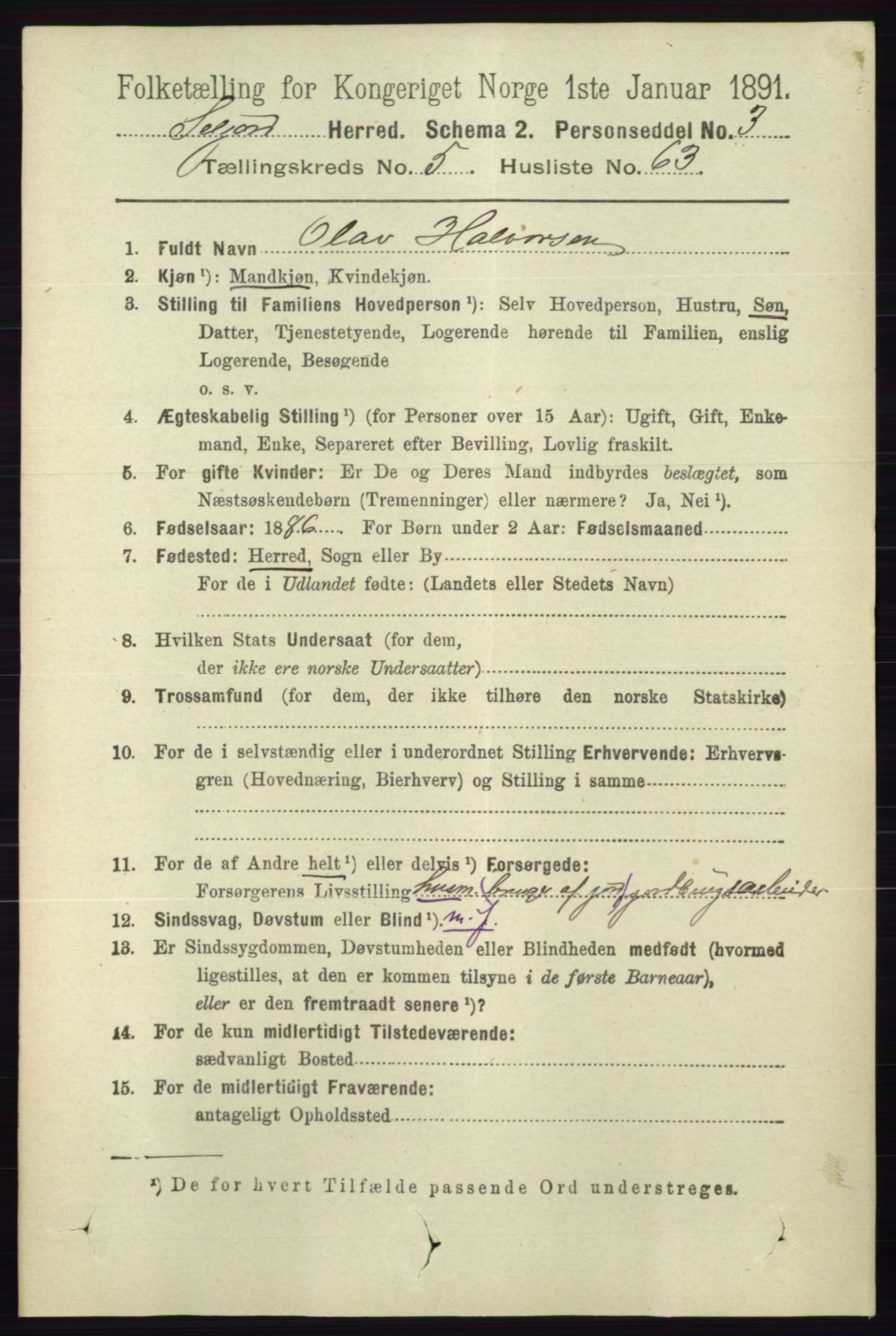 RA, 1891 census for 0828 Seljord, 1891, p. 2134