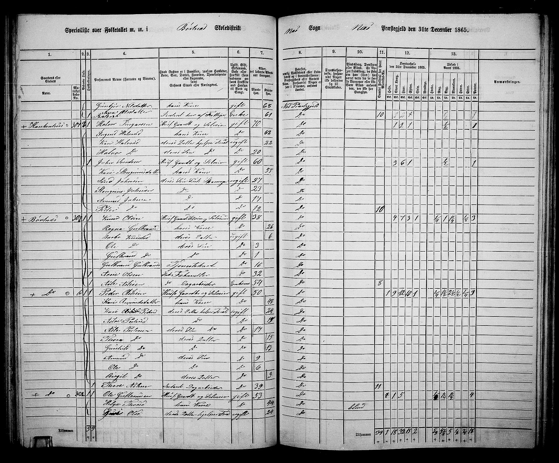 RA, 1865 census for Nes, 1865, p. 123