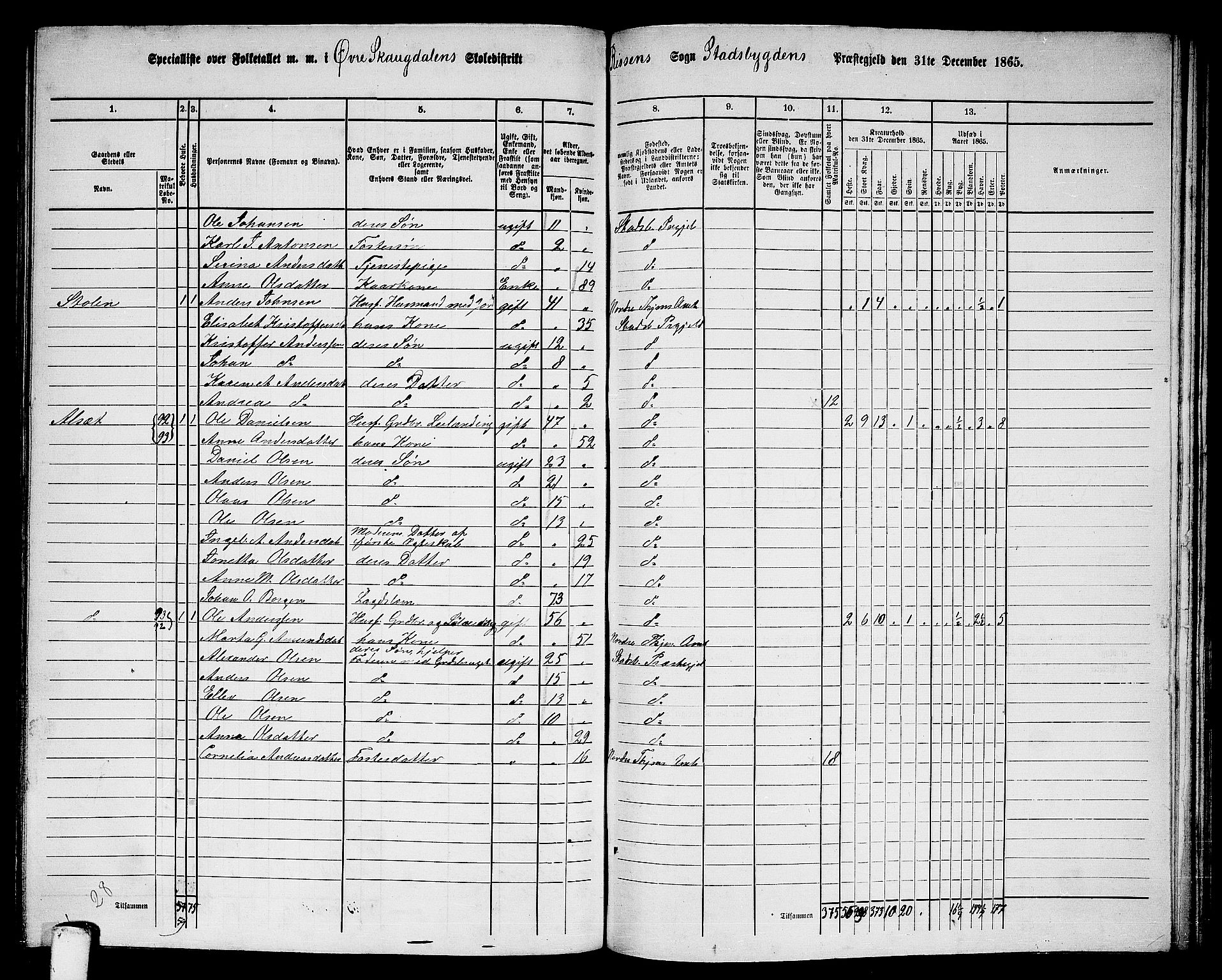 RA, 1865 census for Stadsbygd, 1865, p. 167