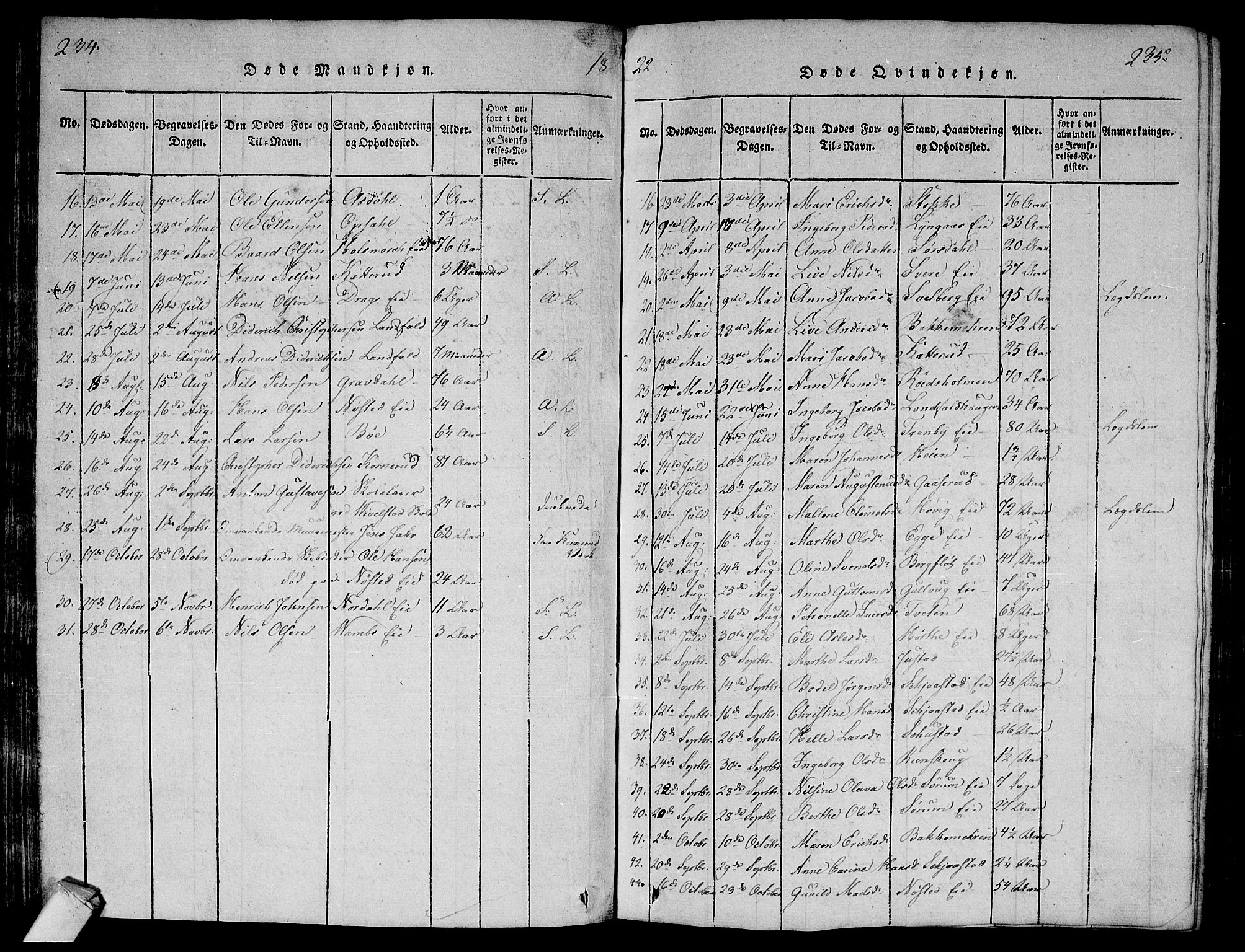 Lier kirkebøker, AV/SAKO-A-230/G/Ga/L0001: Parish register (copy) no. I 1, 1813-1824, p. 234-235