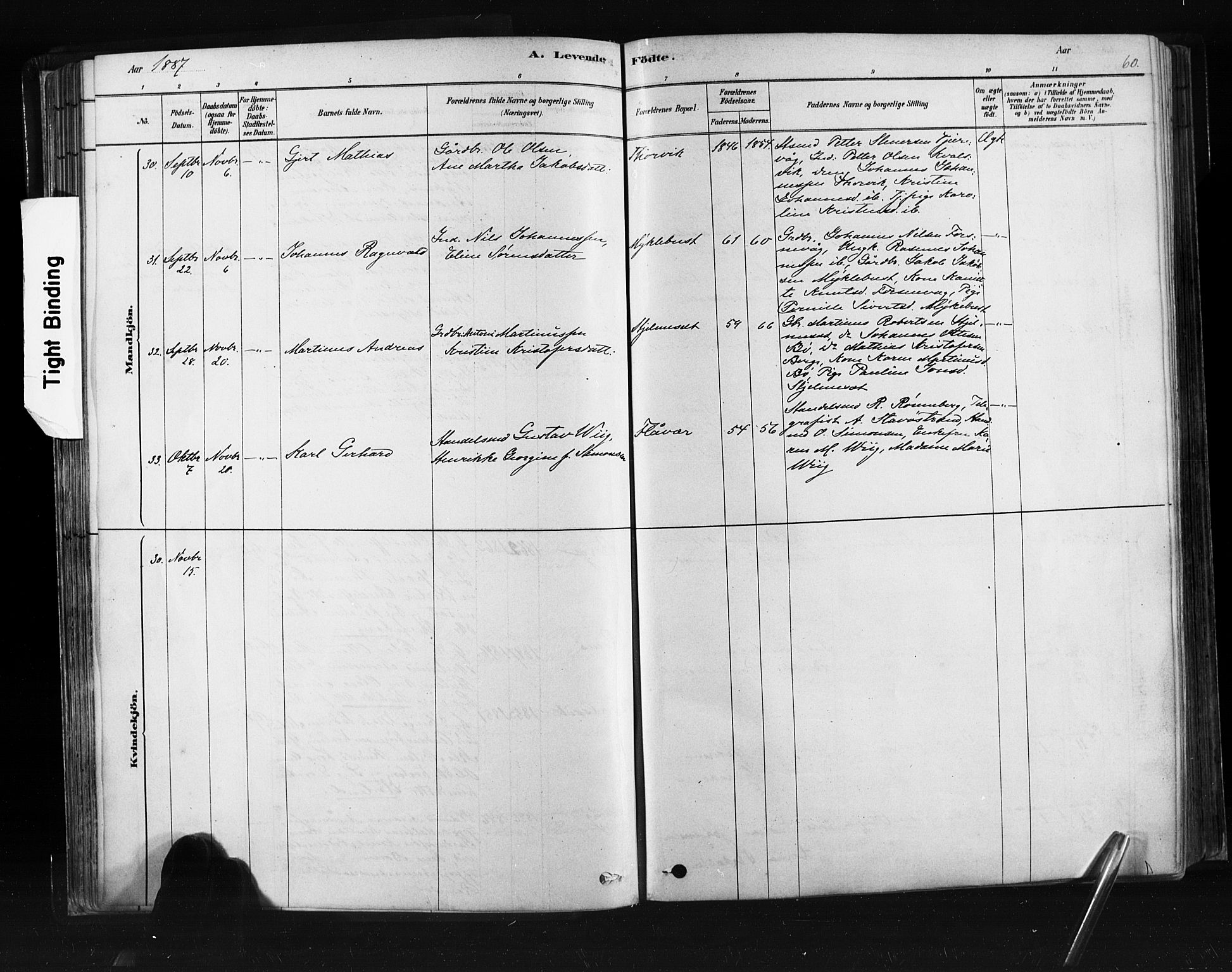 Ministerialprotokoller, klokkerbøker og fødselsregistre - Møre og Romsdal, AV/SAT-A-1454/507/L0073: Parish register (official) no. 507A08, 1878-1904, p. 60