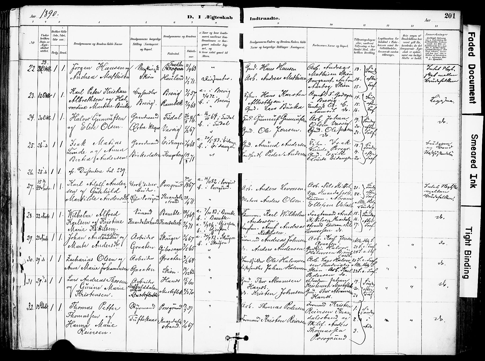 Solum kirkebøker, SAKO/A-306/F/Fa/L0010: Parish register (official) no. I 10, 1888-1898, p. 201