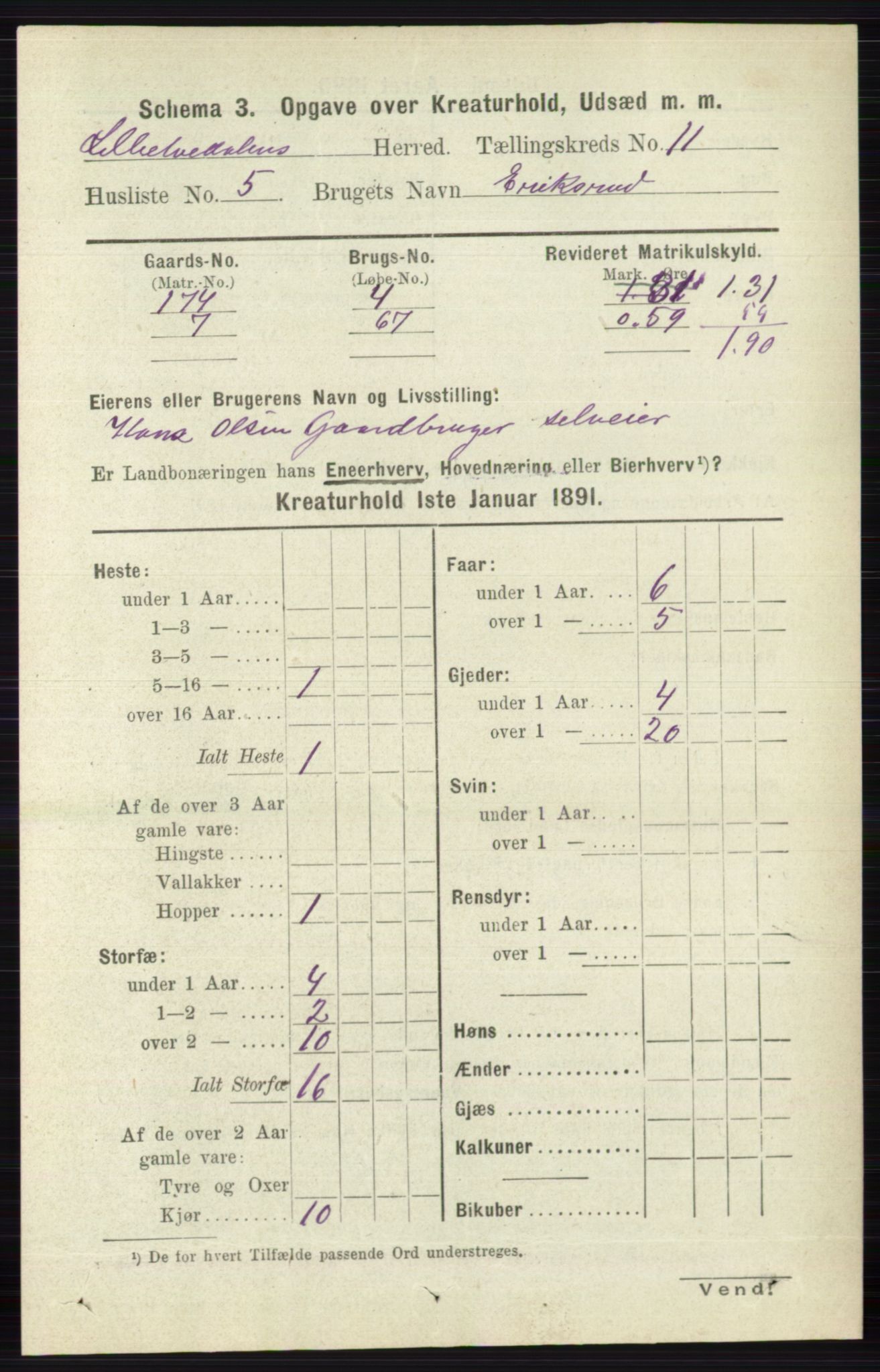 RA, 1891 census for 0438 Lille Elvedalen, 1891, p. 4996