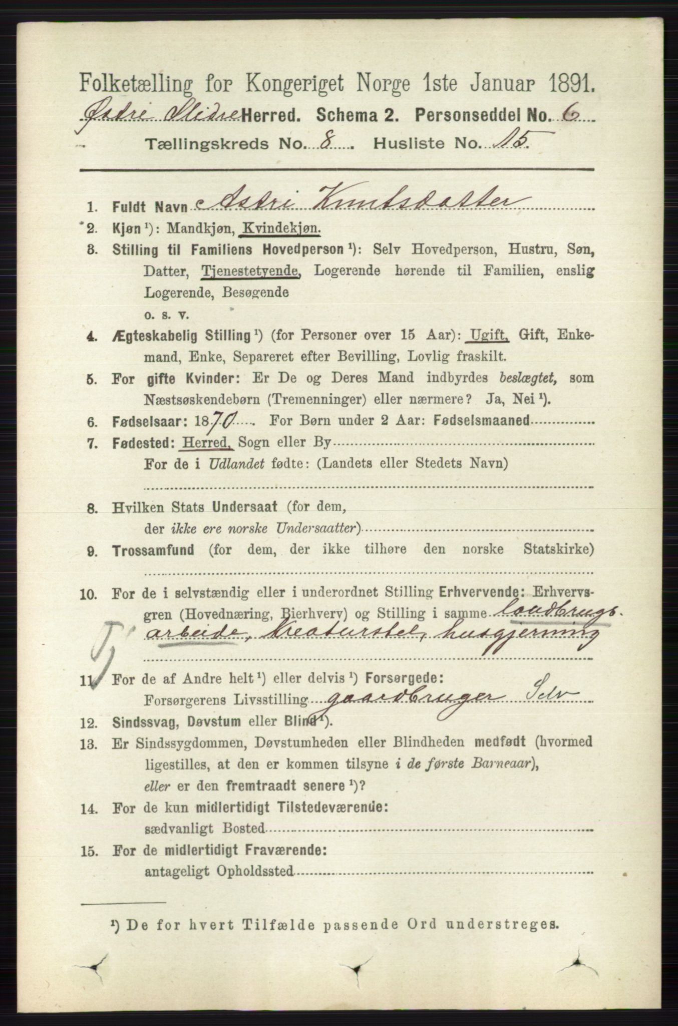 RA, 1891 census for 0544 Øystre Slidre, 1891, p. 2646