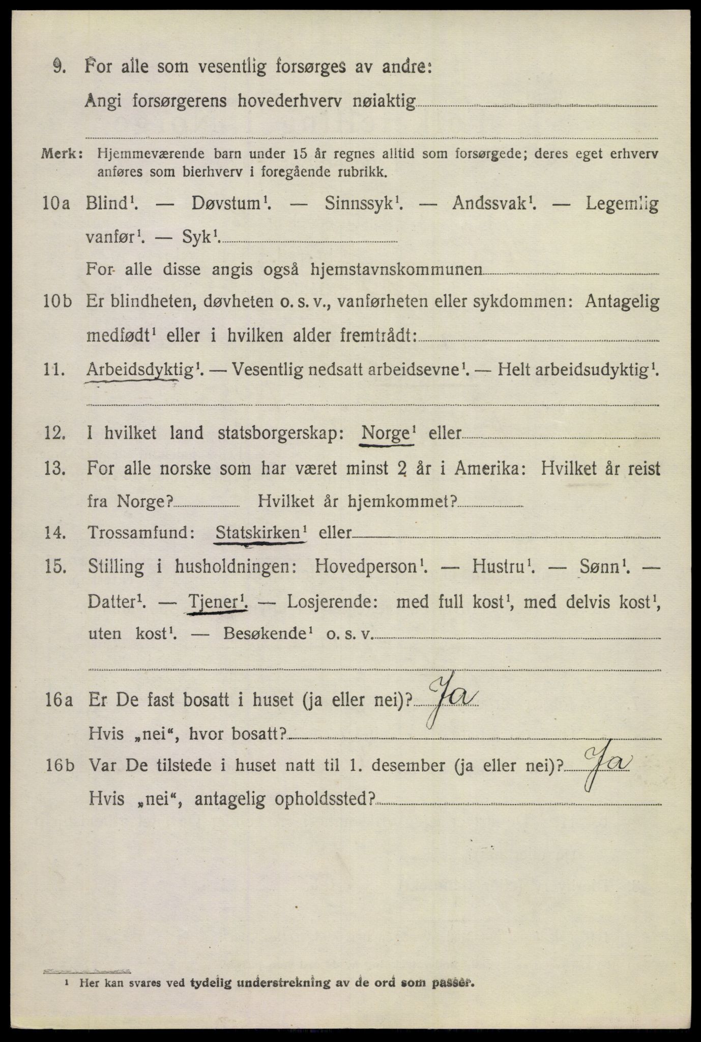 SAKO, 1920 census for Hol (Buskerud), 1920, p. 4916