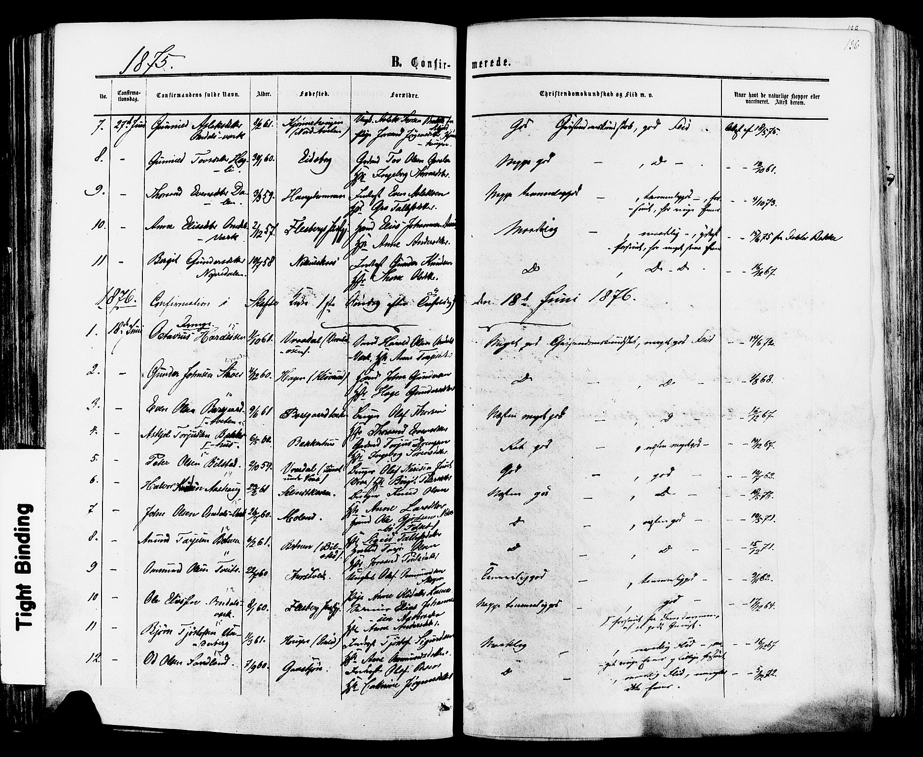 Mo kirkebøker, SAKO/A-286/F/Fa/L0006: Parish register (official) no. I 6, 1865-1885, p. 136