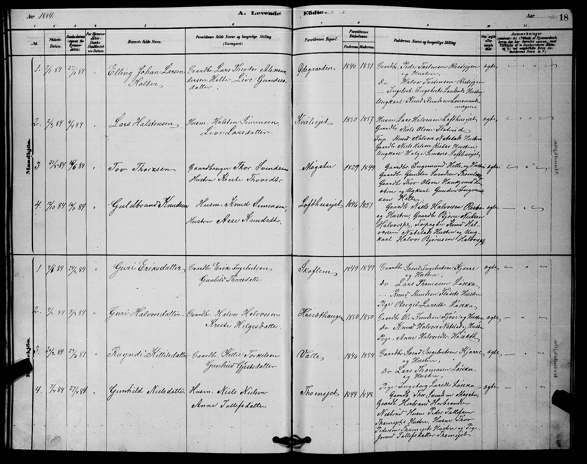 Rollag kirkebøker, SAKO/A-240/G/Gb/L0002: Parish register (copy) no. II 2, 1878-1898, p. 18