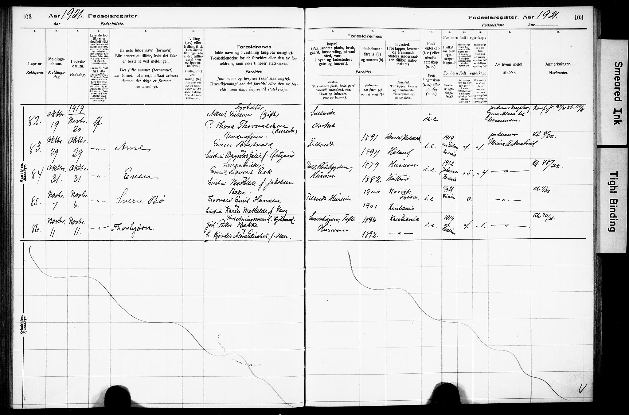 Hurum kirkebøker, AV/SAKO-A-229/J/Ja/L0001: Birth register no. 1, 1916-1928, p. 103