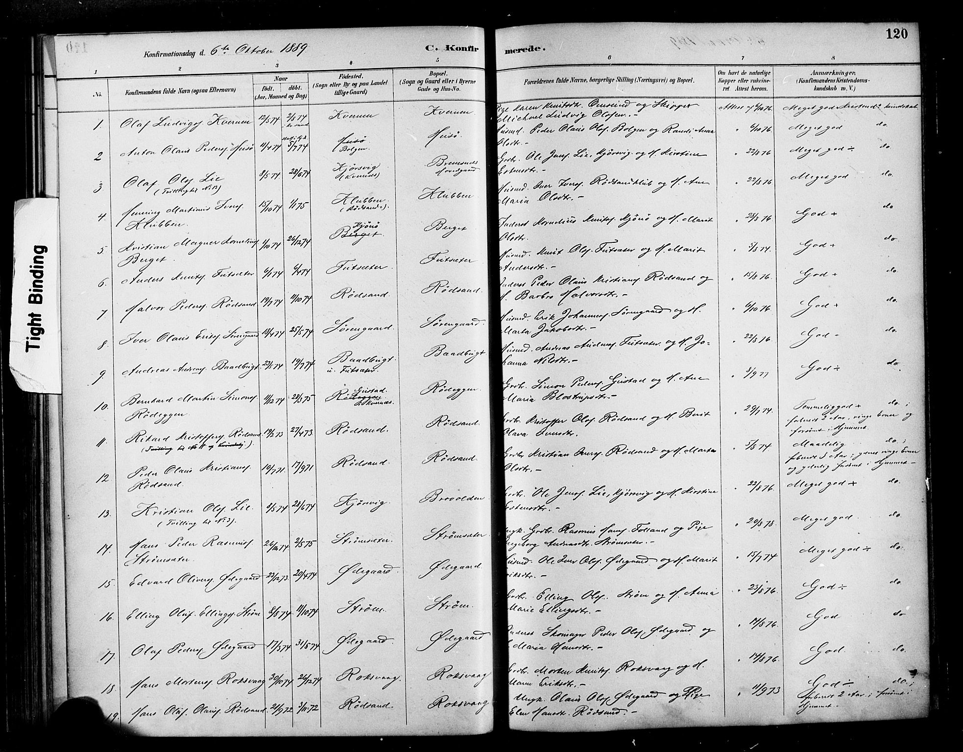 Ministerialprotokoller, klokkerbøker og fødselsregistre - Møre og Romsdal, AV/SAT-A-1454/569/L0819: Parish register (official) no. 569A05, 1885-1899, p. 120