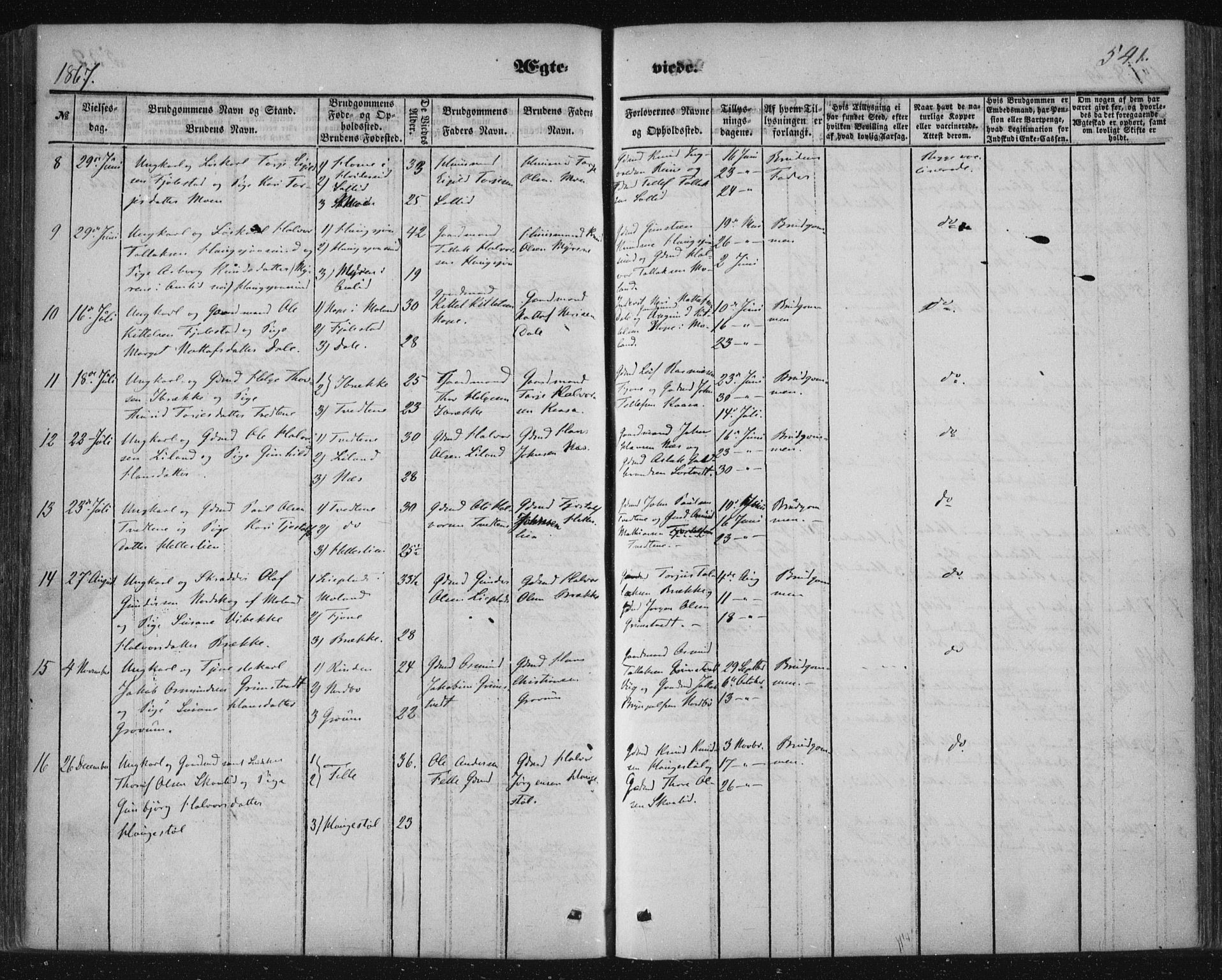 Nissedal kirkebøker, AV/SAKO-A-288/F/Fa/L0003: Parish register (official) no. I 3, 1846-1870, p. 540-541