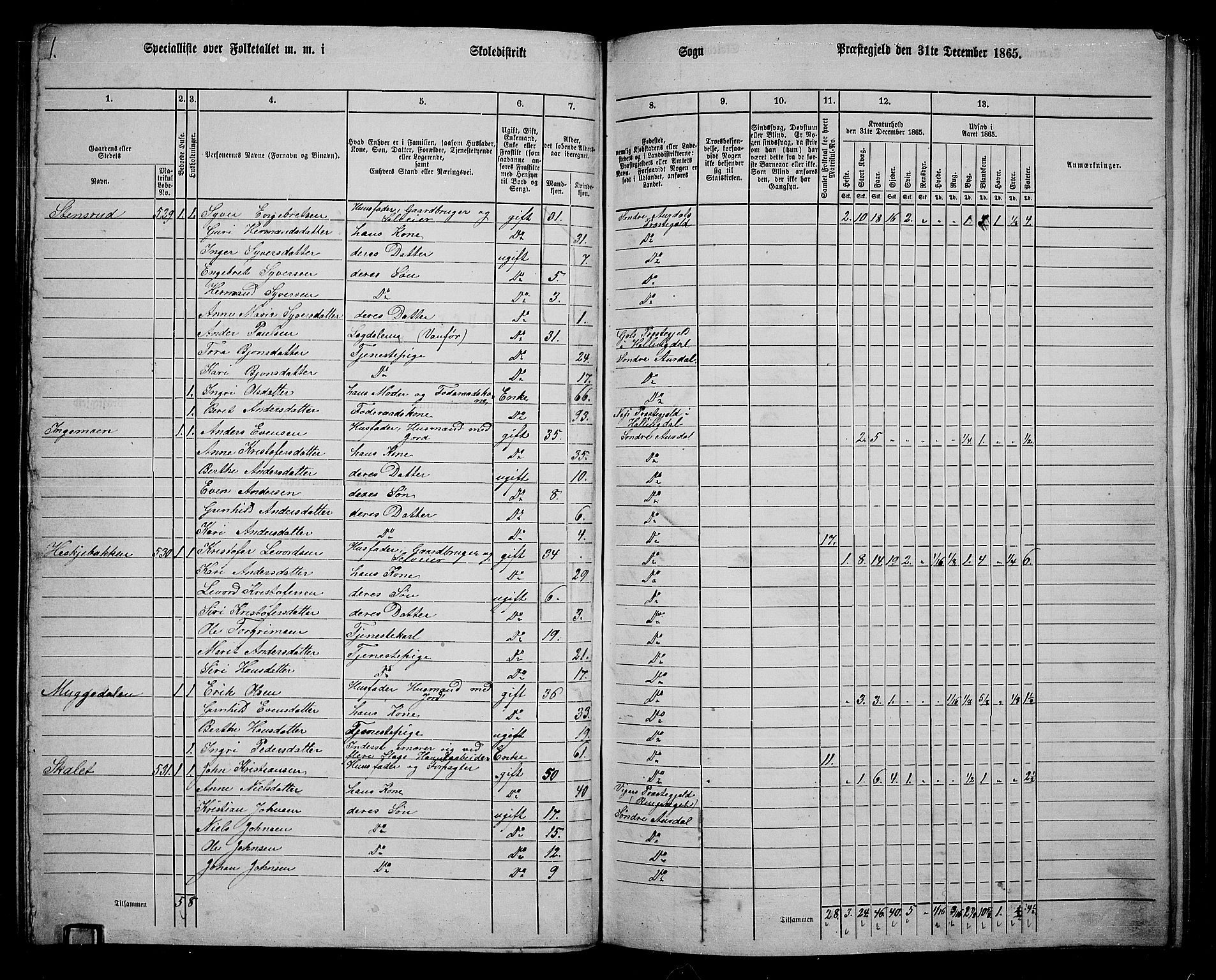 RA, 1865 census for Sør-Aurdal, 1865, p. 122