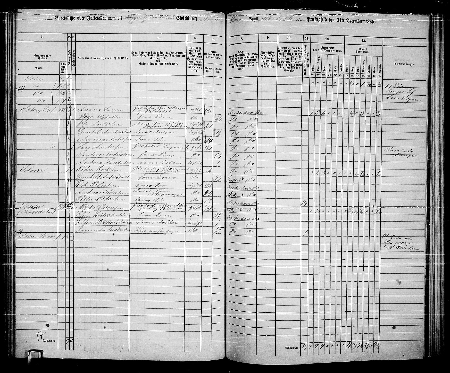 RA, 1865 census for Norderhov/Norderhov, Haug og Lunder, 1865, p. 207