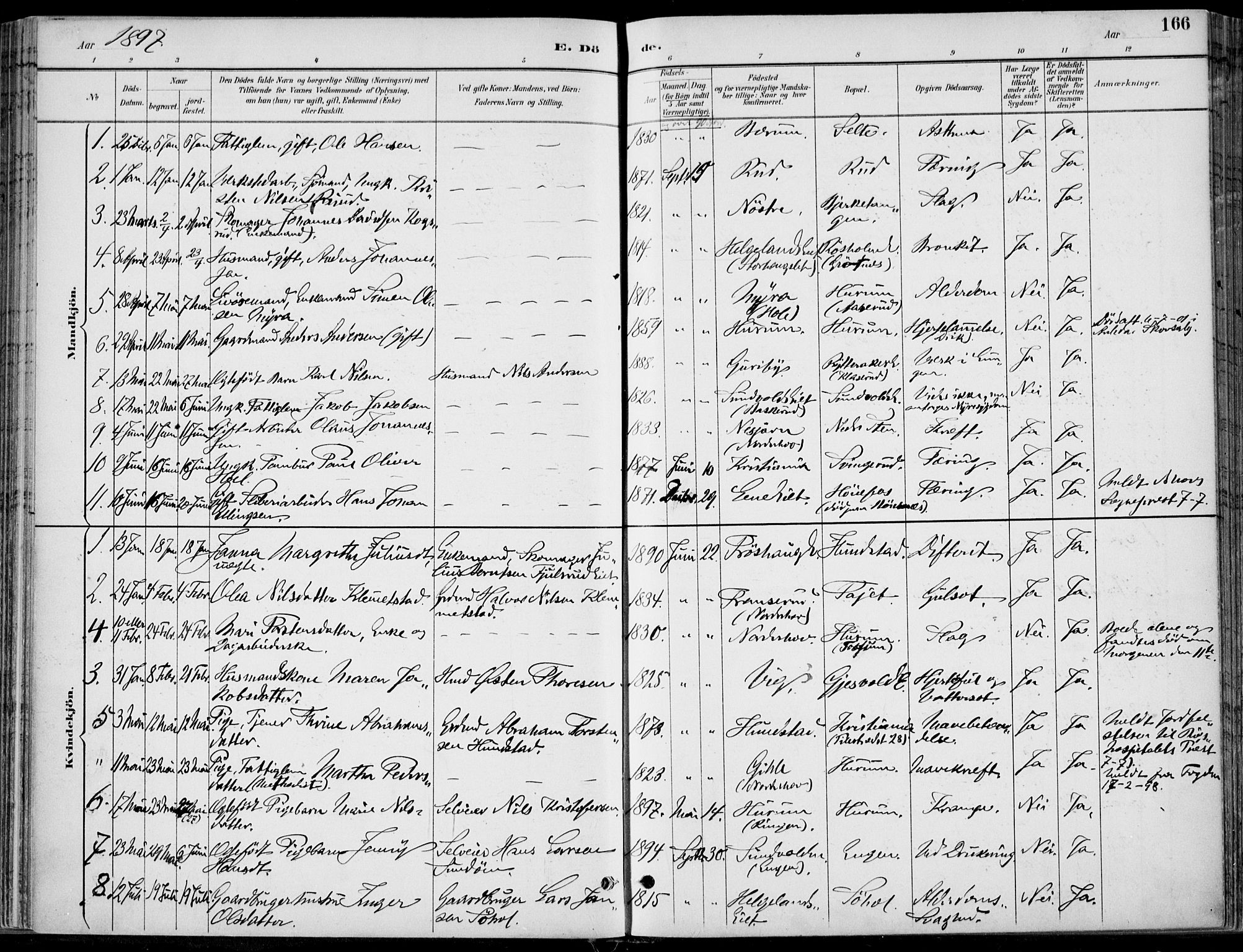 Hole kirkebøker, SAKO/A-228/F/Fa/L0009: Parish register (official) no. I 9, 1892-1907, p. 166