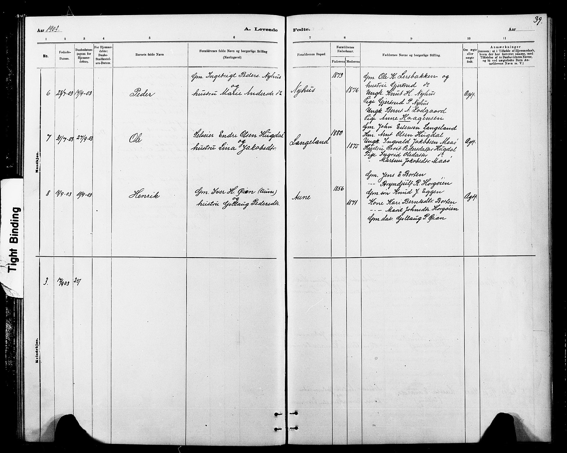 Ministerialprotokoller, klokkerbøker og fødselsregistre - Sør-Trøndelag, AV/SAT-A-1456/693/L1123: Parish register (copy) no. 693C04, 1887-1910, p. 39