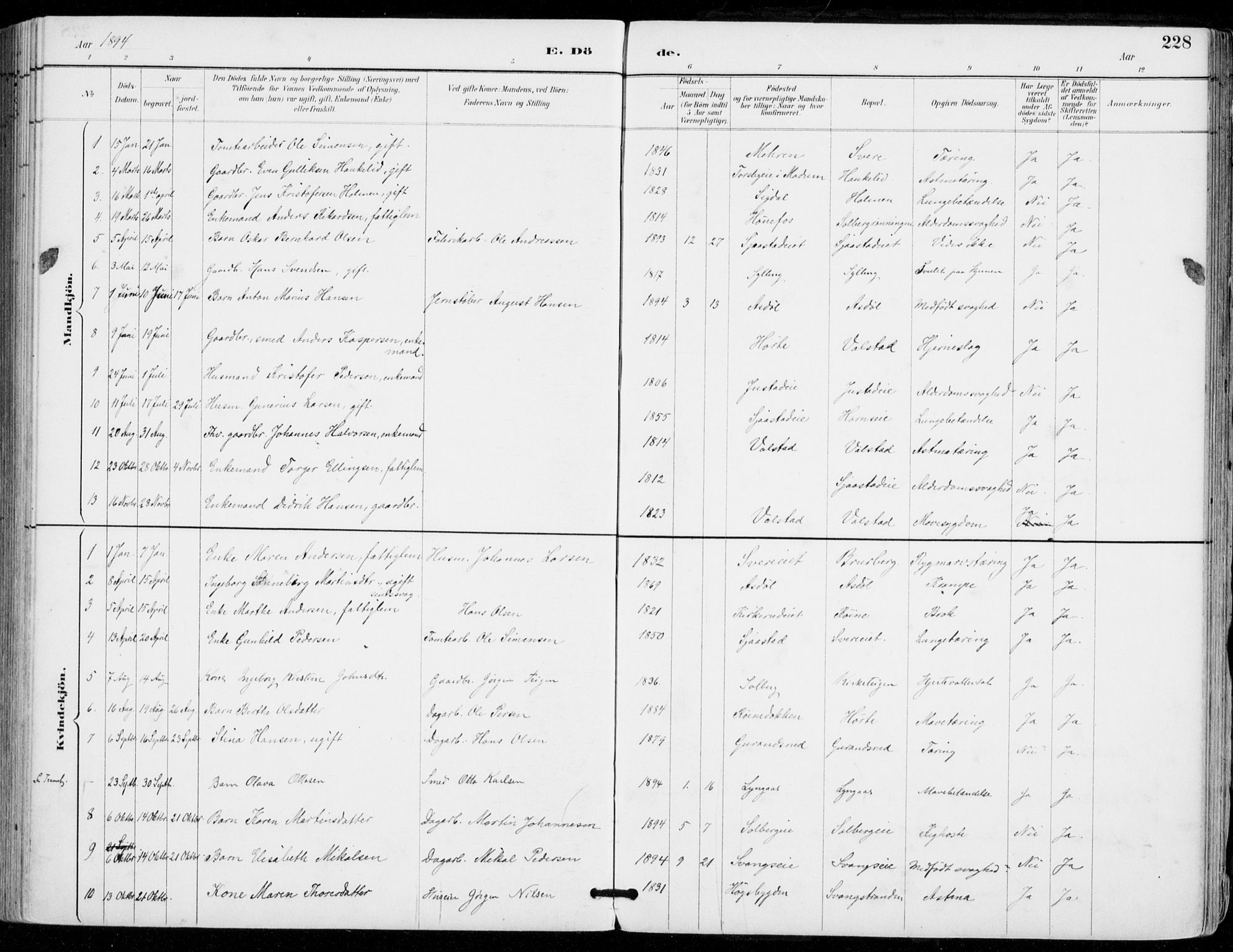 Sylling kirkebøker, AV/SAKO-A-247/F/Fa/L0001: Parish register (official) no. 1, 1883-1910, p. 228