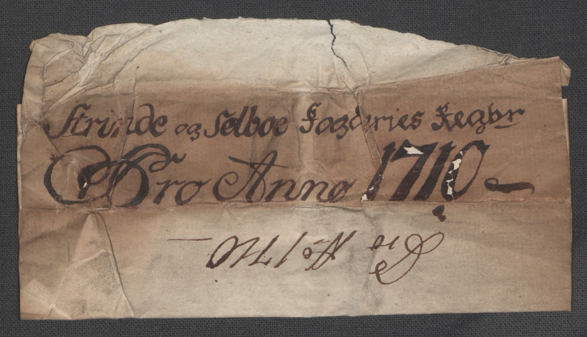 Rentekammeret inntil 1814, Reviderte regnskaper, Fogderegnskap, RA/EA-4092/R61/L4111: Fogderegnskap Strinda og Selbu, 1709-1710, p. 293
