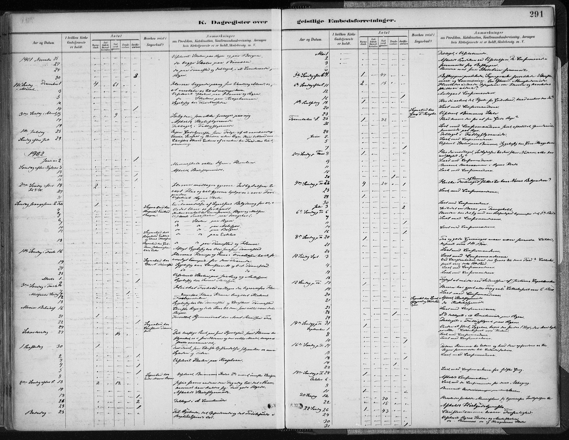 Tveit sokneprestkontor, AV/SAK-1111-0043/F/Fa/L0007: Parish register (official) no. A 7, 1887-1908, p. 291