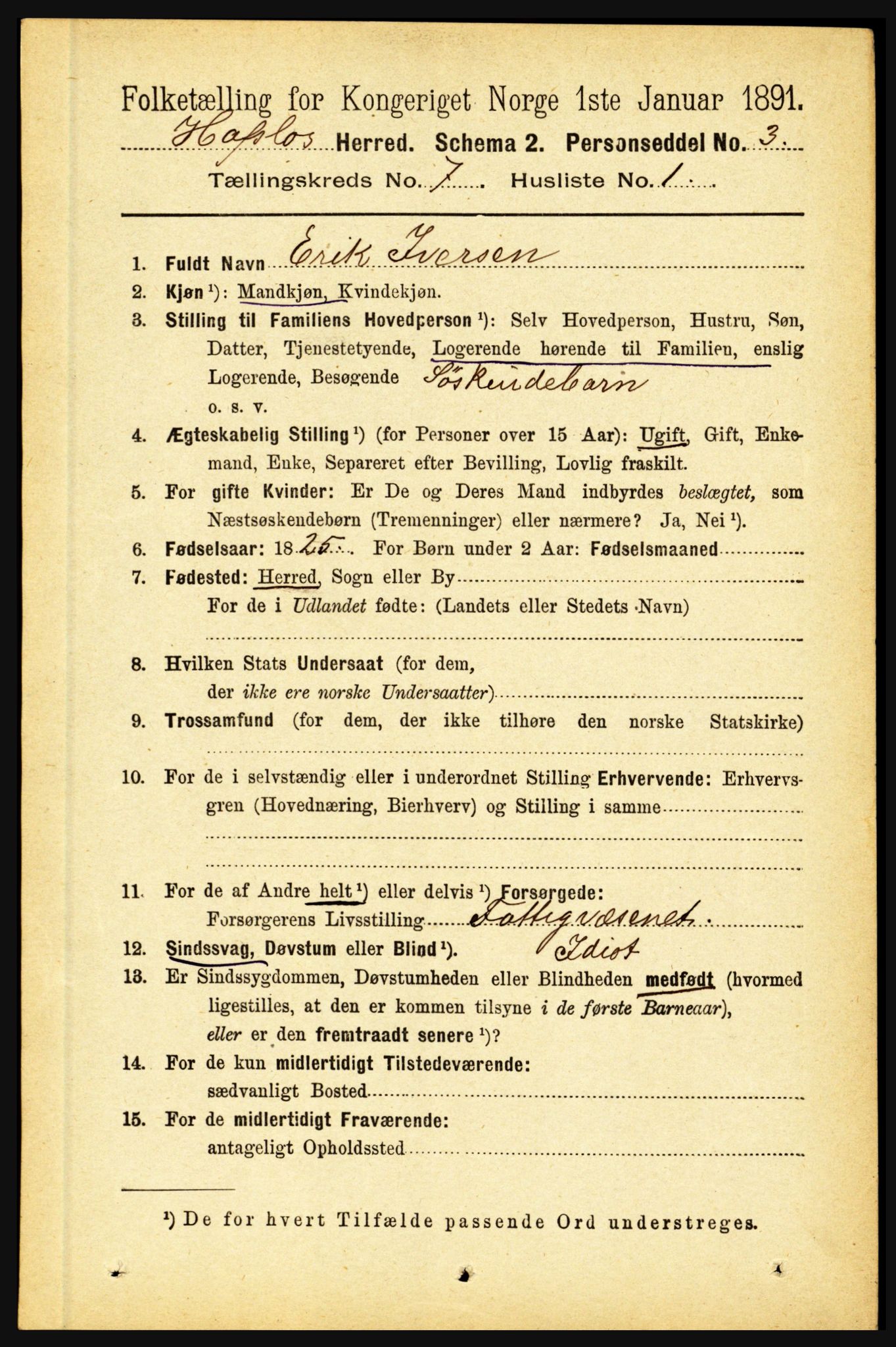 RA, 1891 census for 1425 Hafslo, 1891, p. 2747