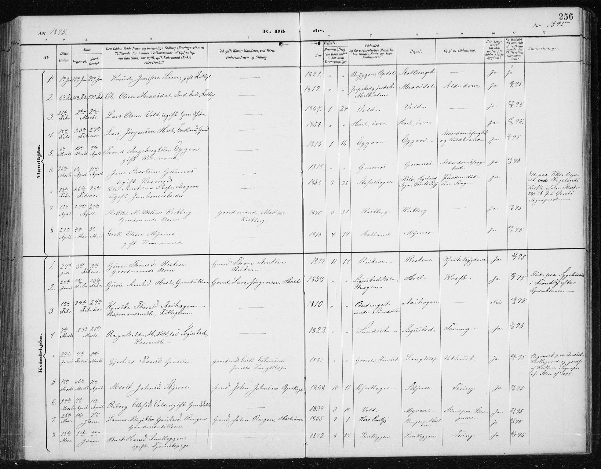 Ministerialprotokoller, klokkerbøker og fødselsregistre - Sør-Trøndelag, SAT/A-1456/674/L0876: Parish register (copy) no. 674C03, 1892-1912, p. 256