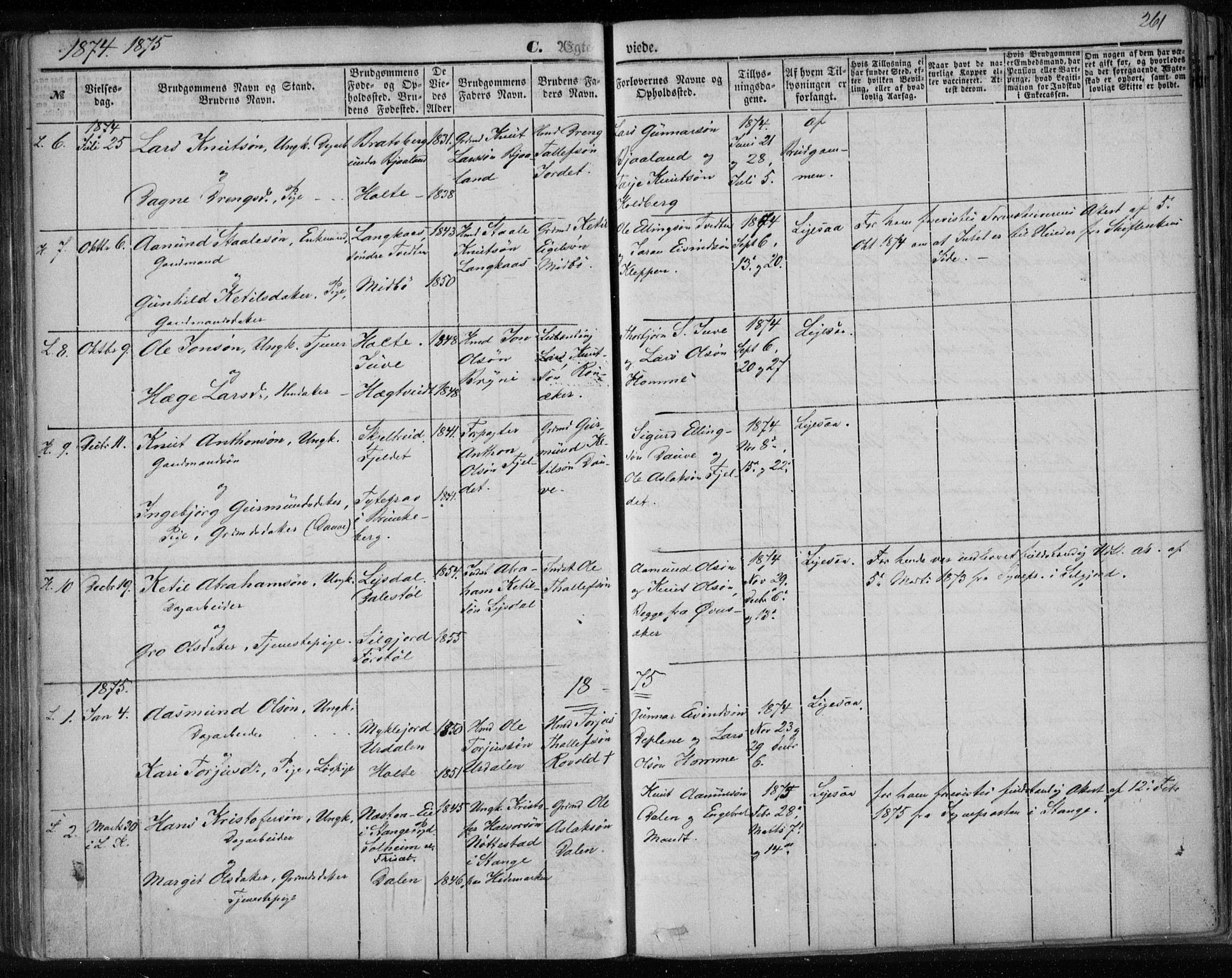 Lårdal kirkebøker, SAKO/A-284/F/Fa/L0006: Parish register (official) no. I 6, 1861-1886, p. 261