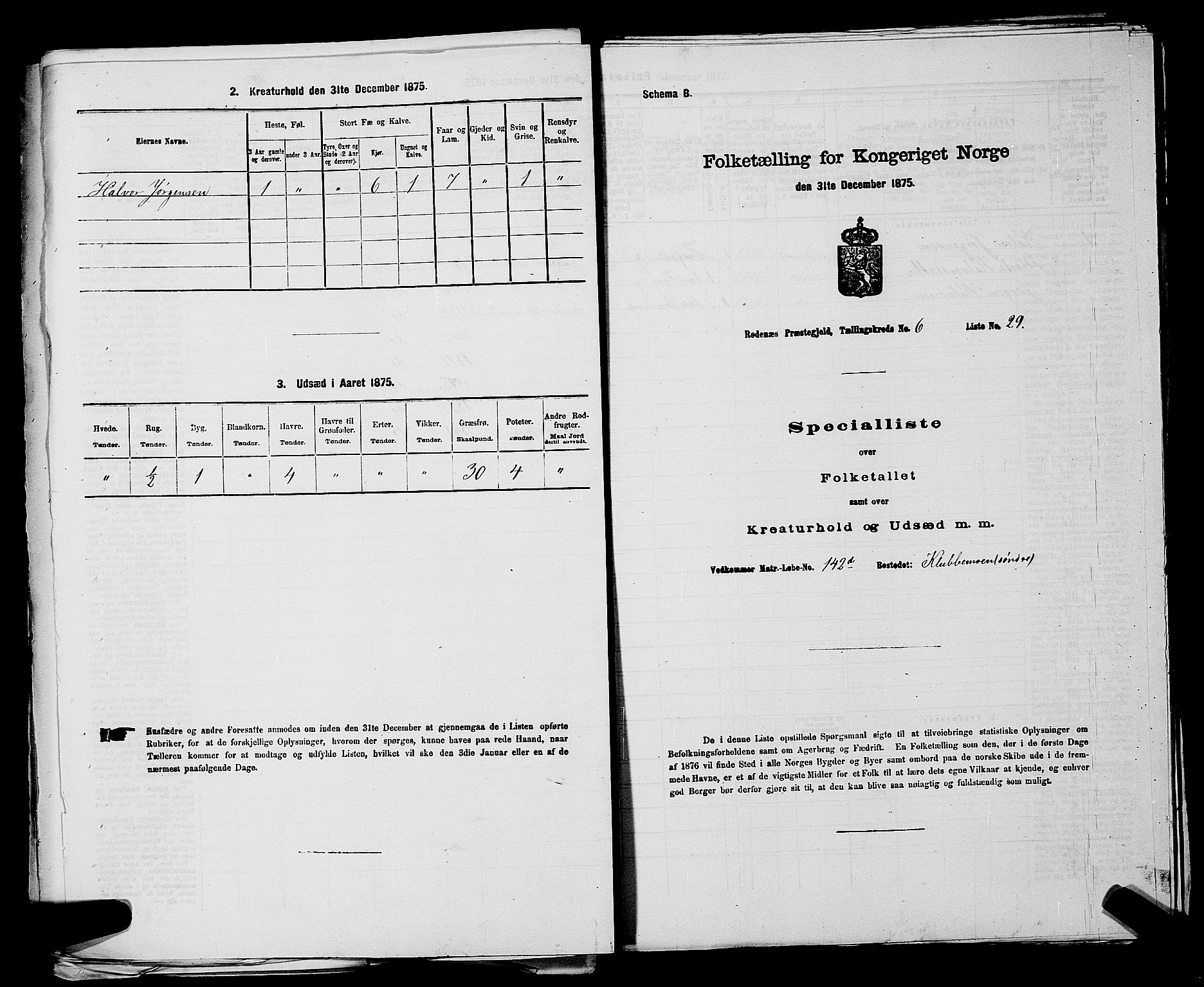 RA, 1875 census for 0120P Rødenes, 1875, p. 836