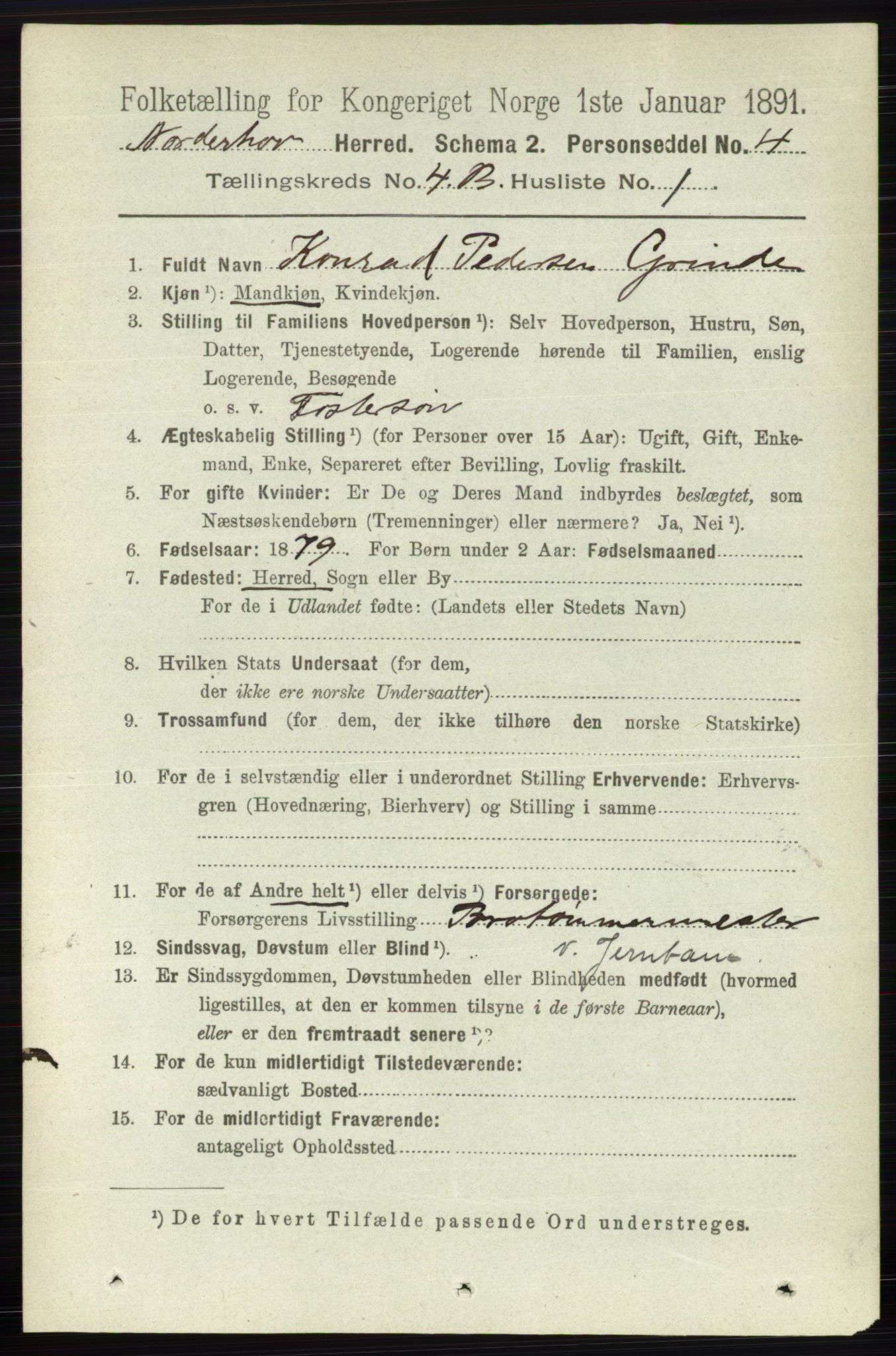 RA, 1891 census for 0613 Norderhov, 1891, p. 2003