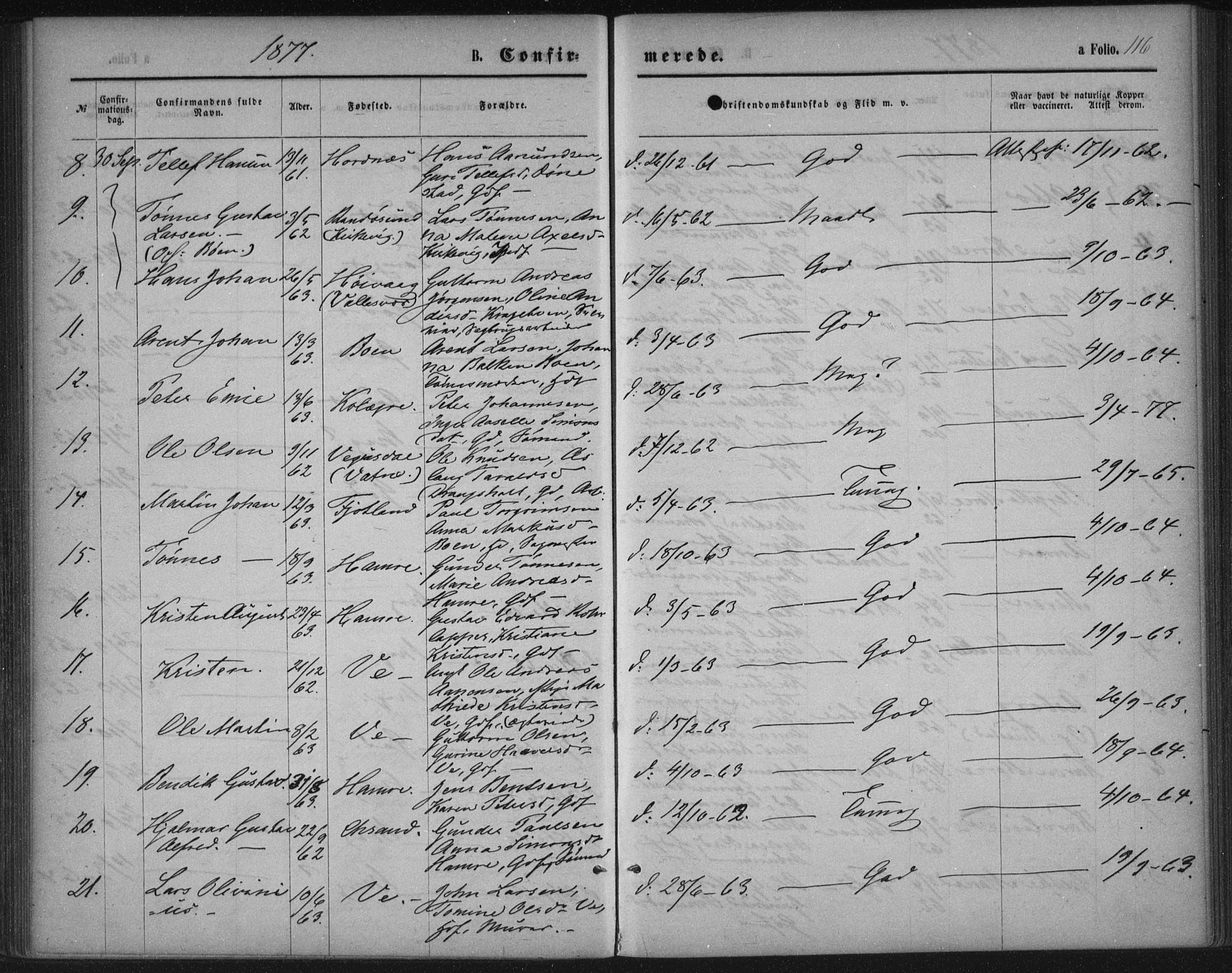 Tveit sokneprestkontor, AV/SAK-1111-0043/F/Fa/L0006: Parish register (official) no. A 6, 1872-1886, p. 116