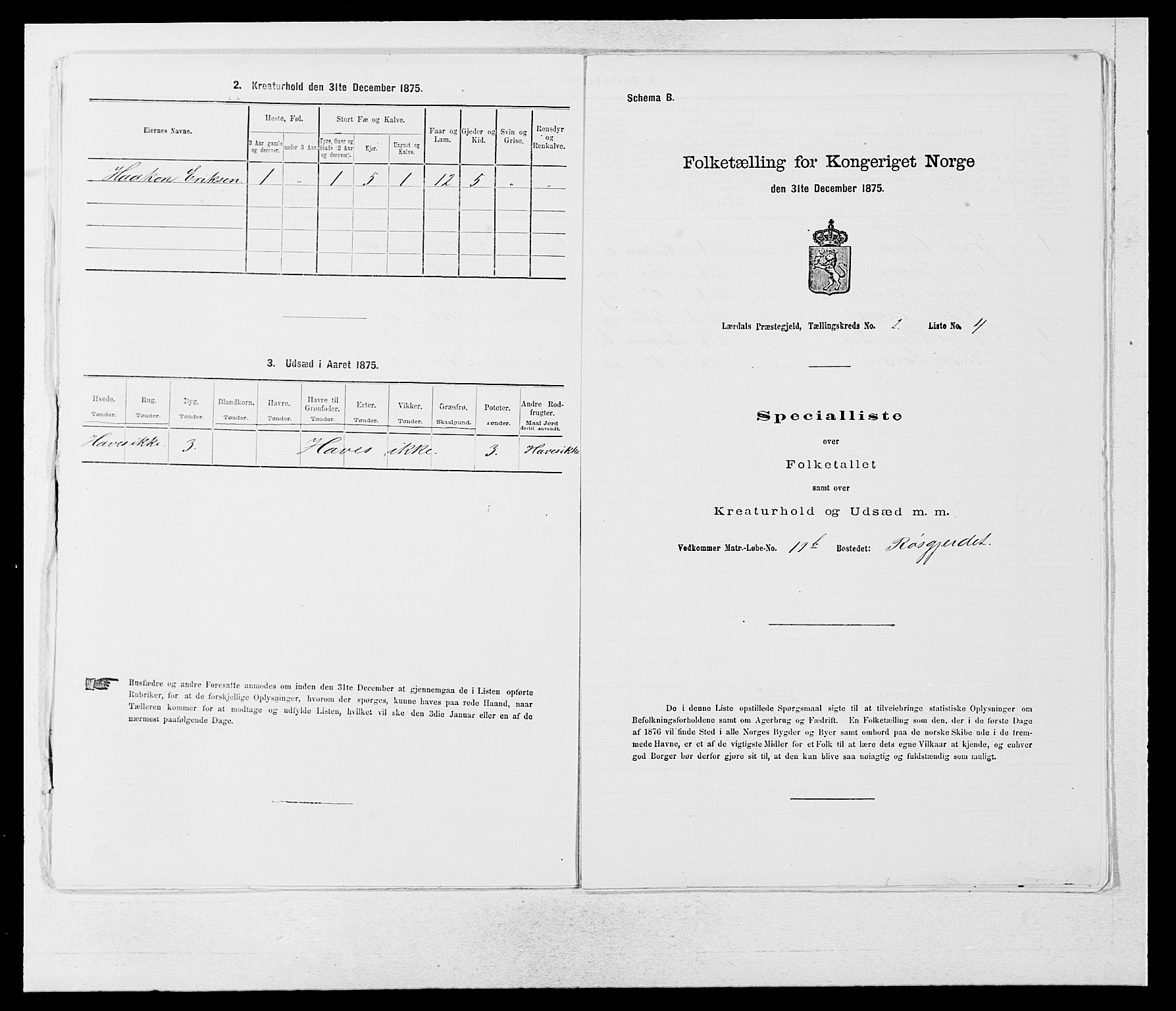 SAB, 1875 census for 1422P Lærdal, 1875, p. 1007