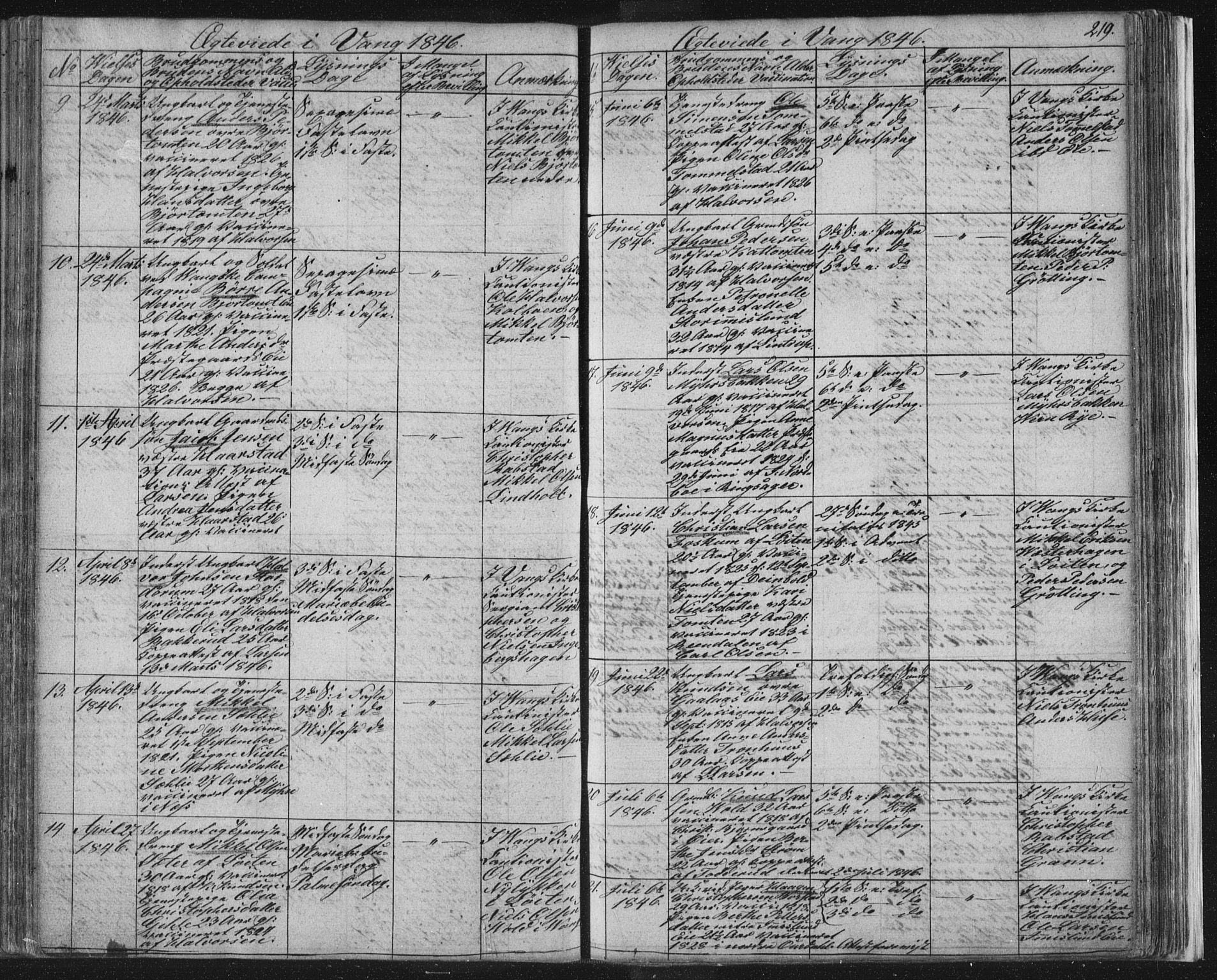 Vang prestekontor, Hedmark, SAH/PREST-008/H/Ha/Hab/L0008: Parish register (copy) no. 8, 1832-1854, p. 219