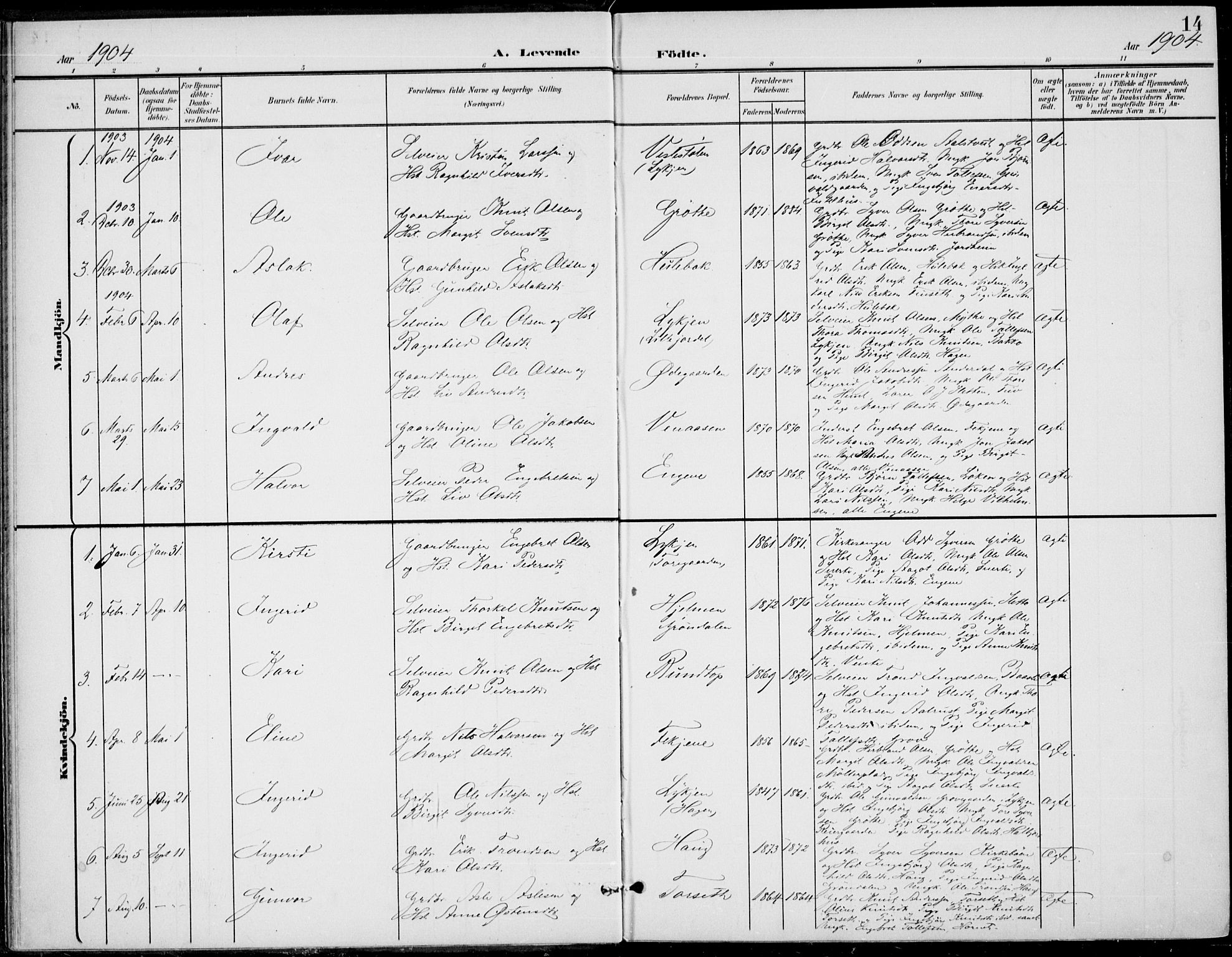 Gol kirkebøker, AV/SAKO-A-226/F/Fb/L0002: Parish register (official) no. II 2, 1900-1921, p. 14