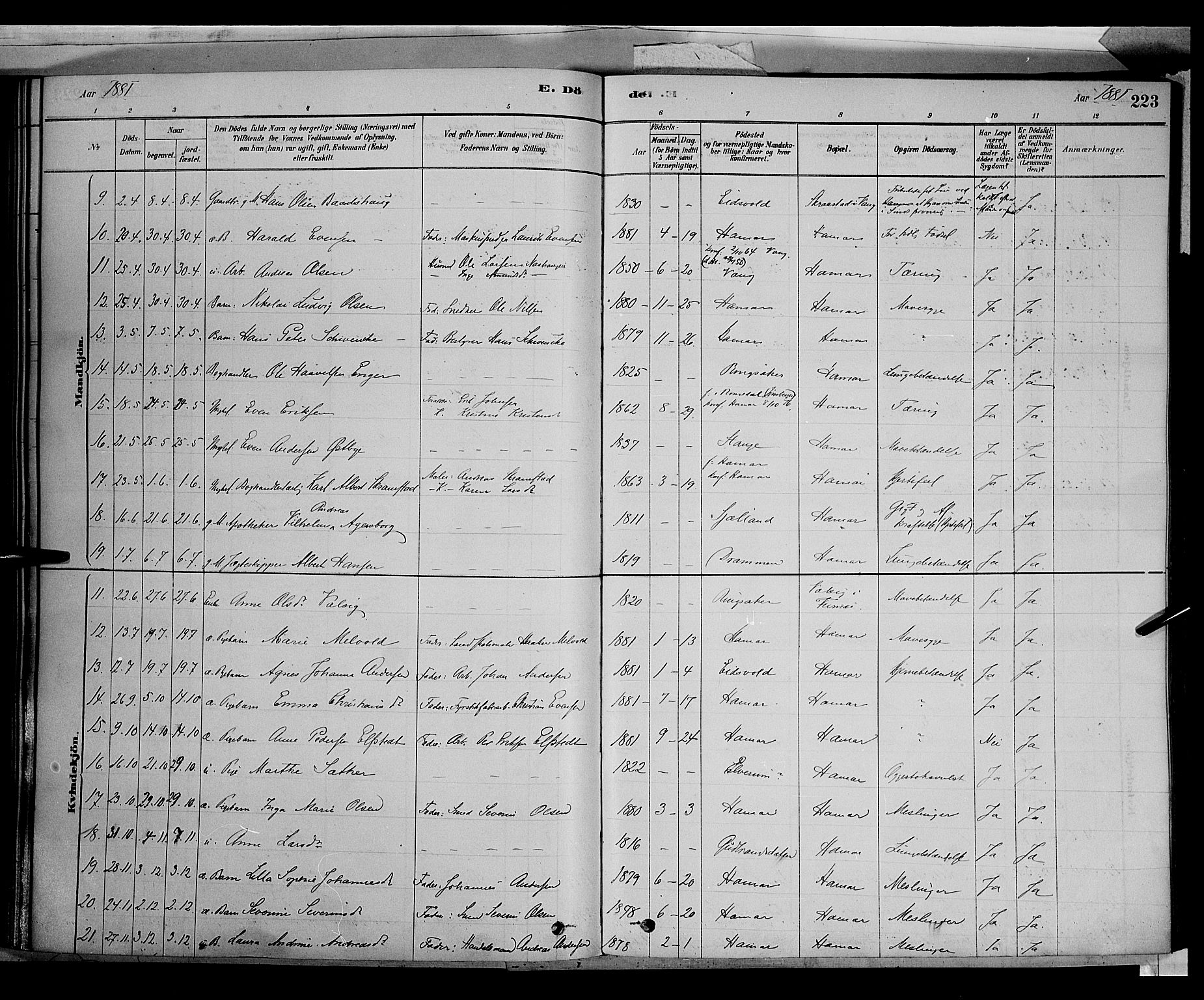 Vang prestekontor, Hedmark, SAH/PREST-008/H/Ha/Haa/L0016: Parish register (official) no. 16, 1878-1889, p. 223