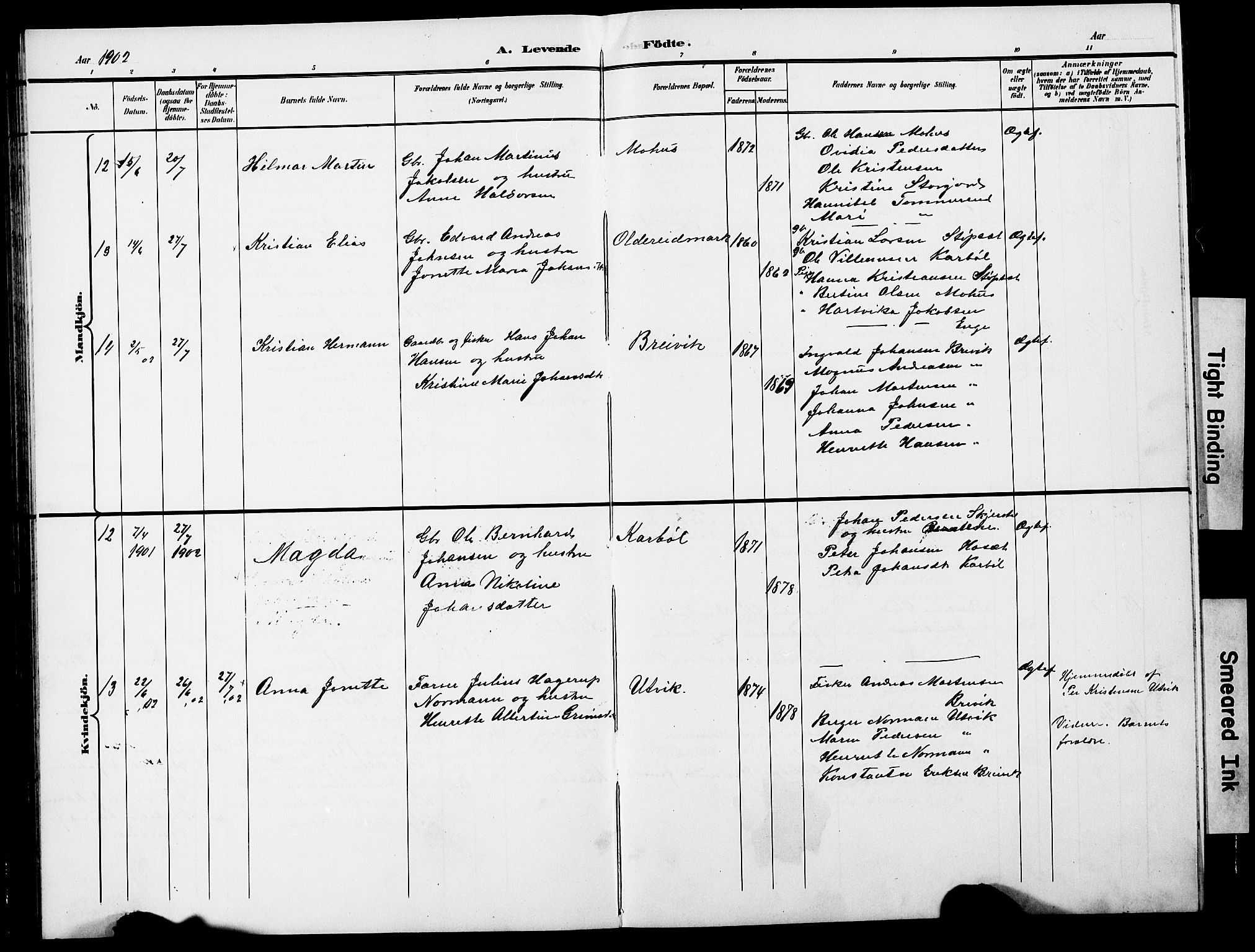 Ministerialprotokoller, klokkerbøker og fødselsregistre - Nordland, AV/SAT-A-1459/852/L0755: Parish register (copy) no. 852C06, 1895-1902