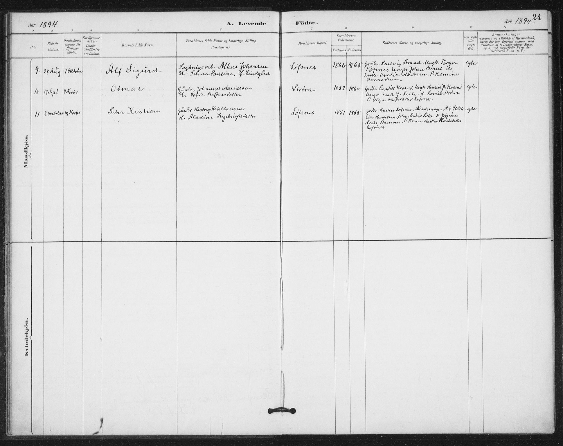 Ministerialprotokoller, klokkerbøker og fødselsregistre - Nord-Trøndelag, SAT/A-1458/772/L0603: Parish register (official) no. 772A01, 1885-1912, p. 24