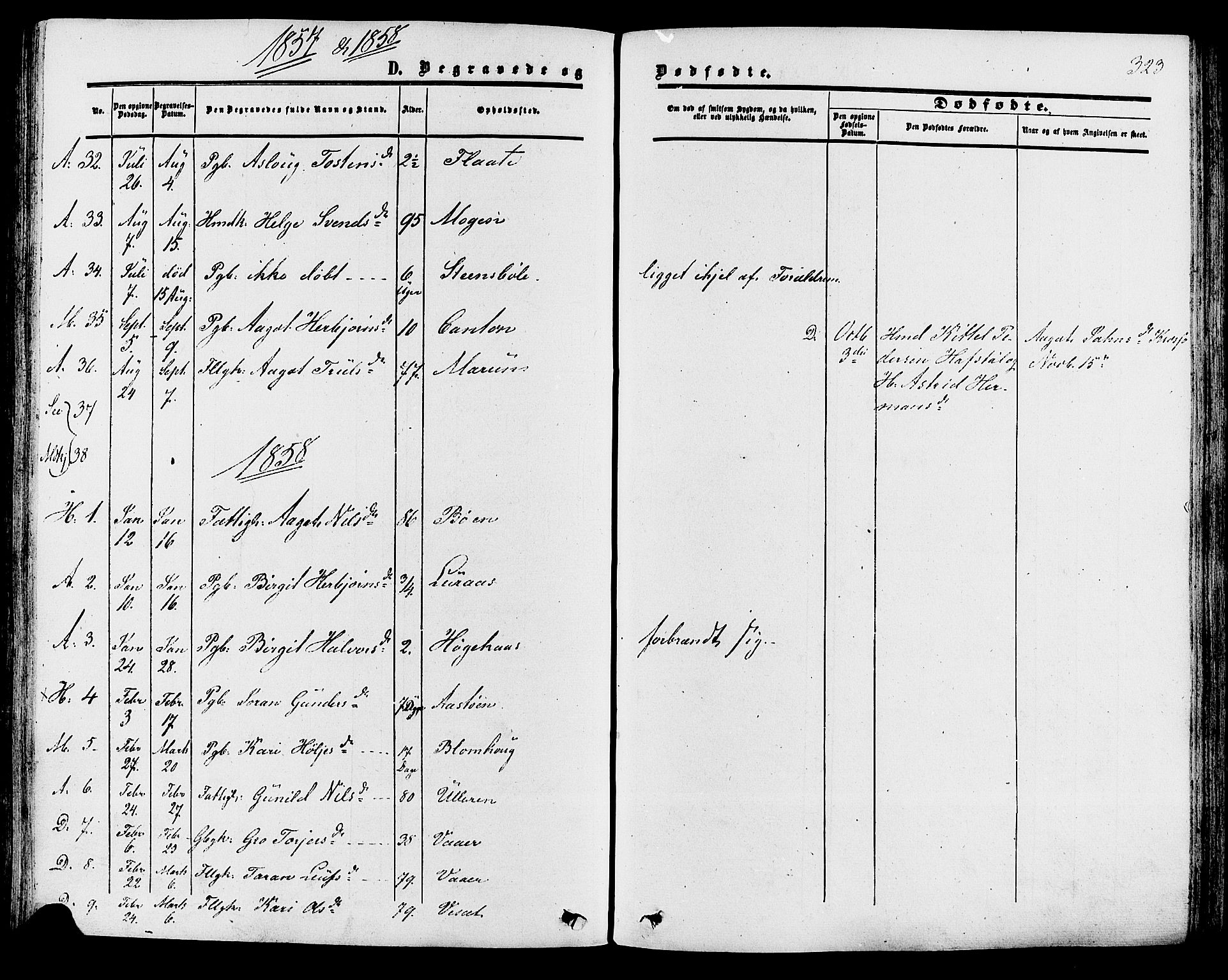 Tinn kirkebøker, SAKO/A-308/F/Fa/L0006: Parish register (official) no. I 6, 1857-1878, p. 323