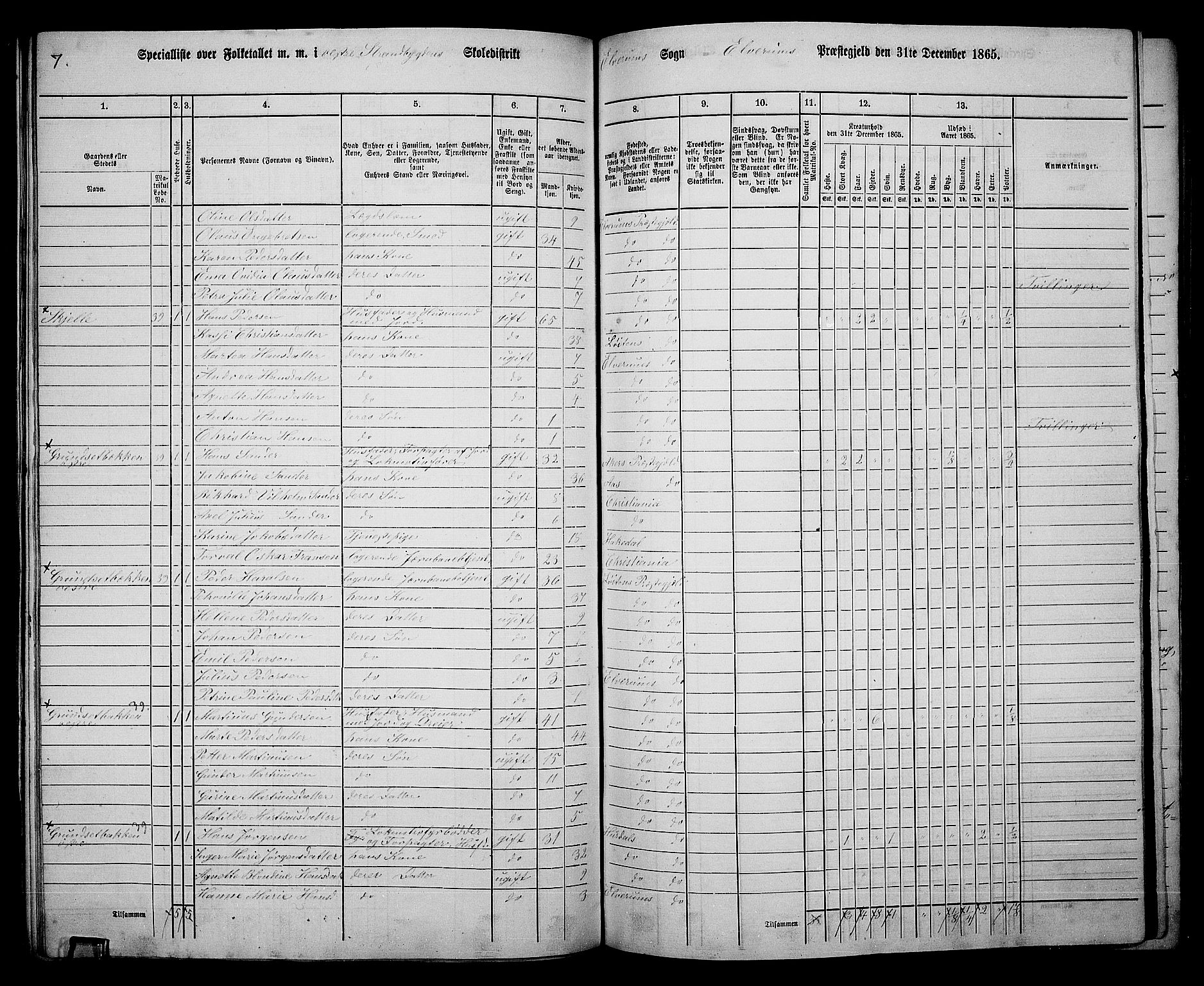 RA, 1865 census for Elverum, 1865, p. 125