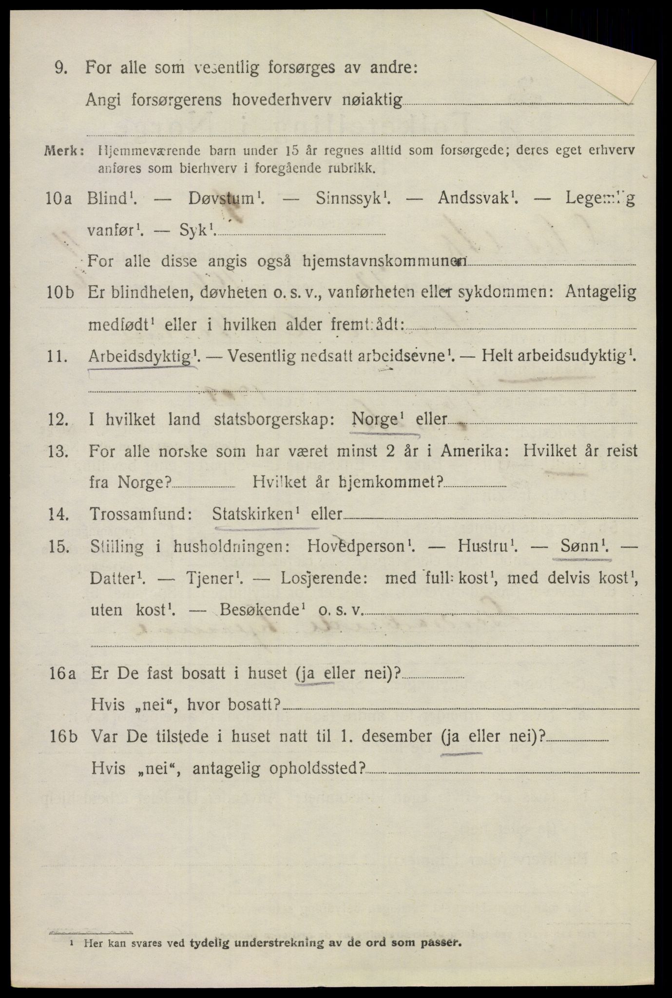 SAO, 1920 census for Nes, 1920, p. 12227