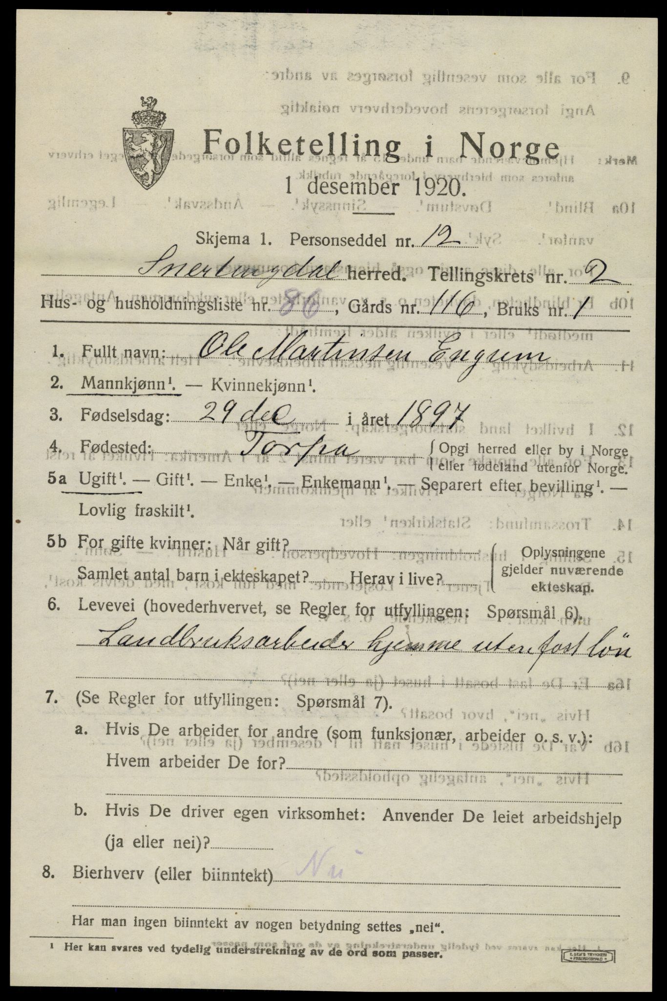 SAH, 1920 census for Snertingdal, 1920, p. 2517
