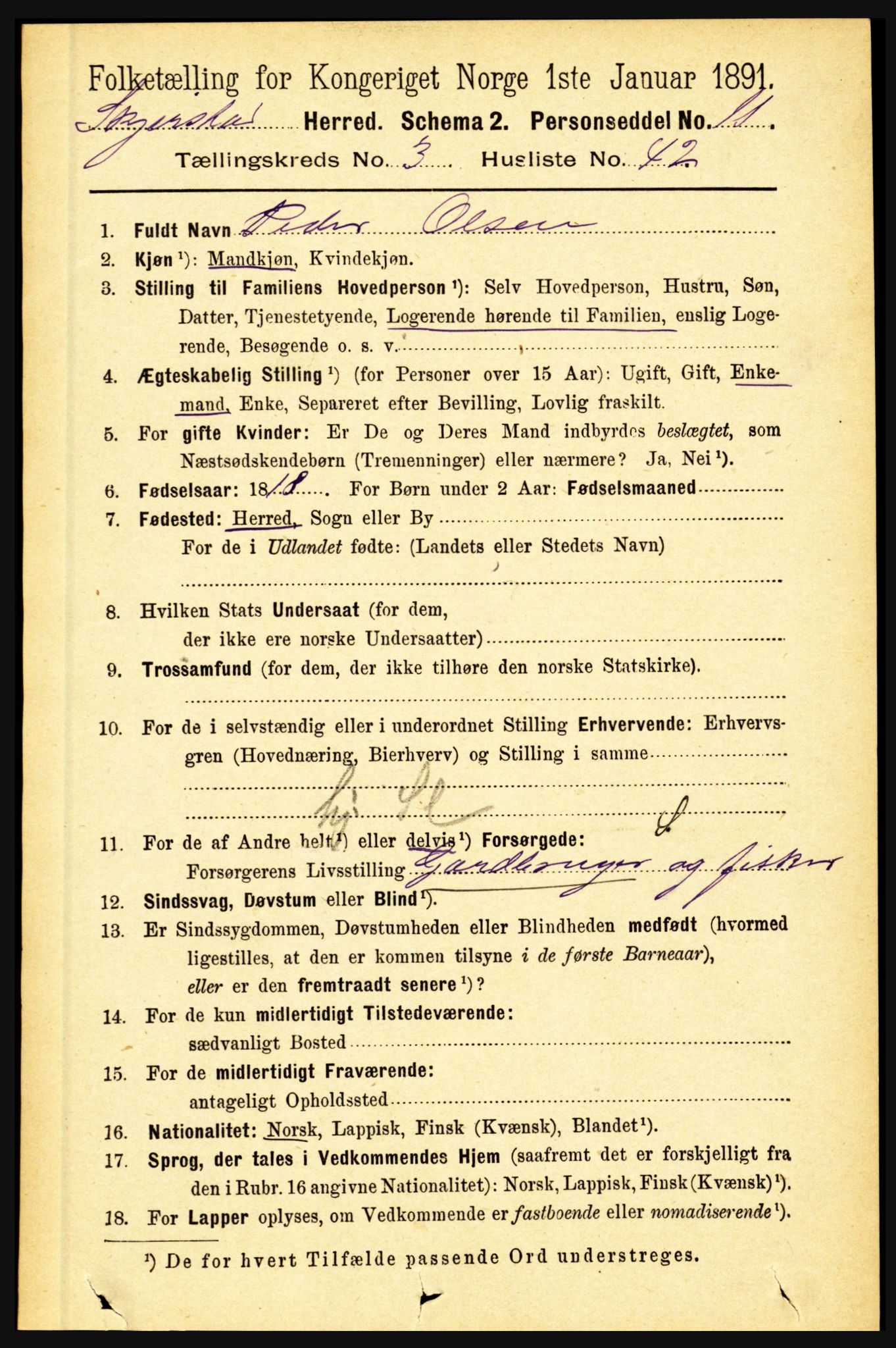 RA, 1891 census for 1842 Skjerstad, 1891, p. 1058