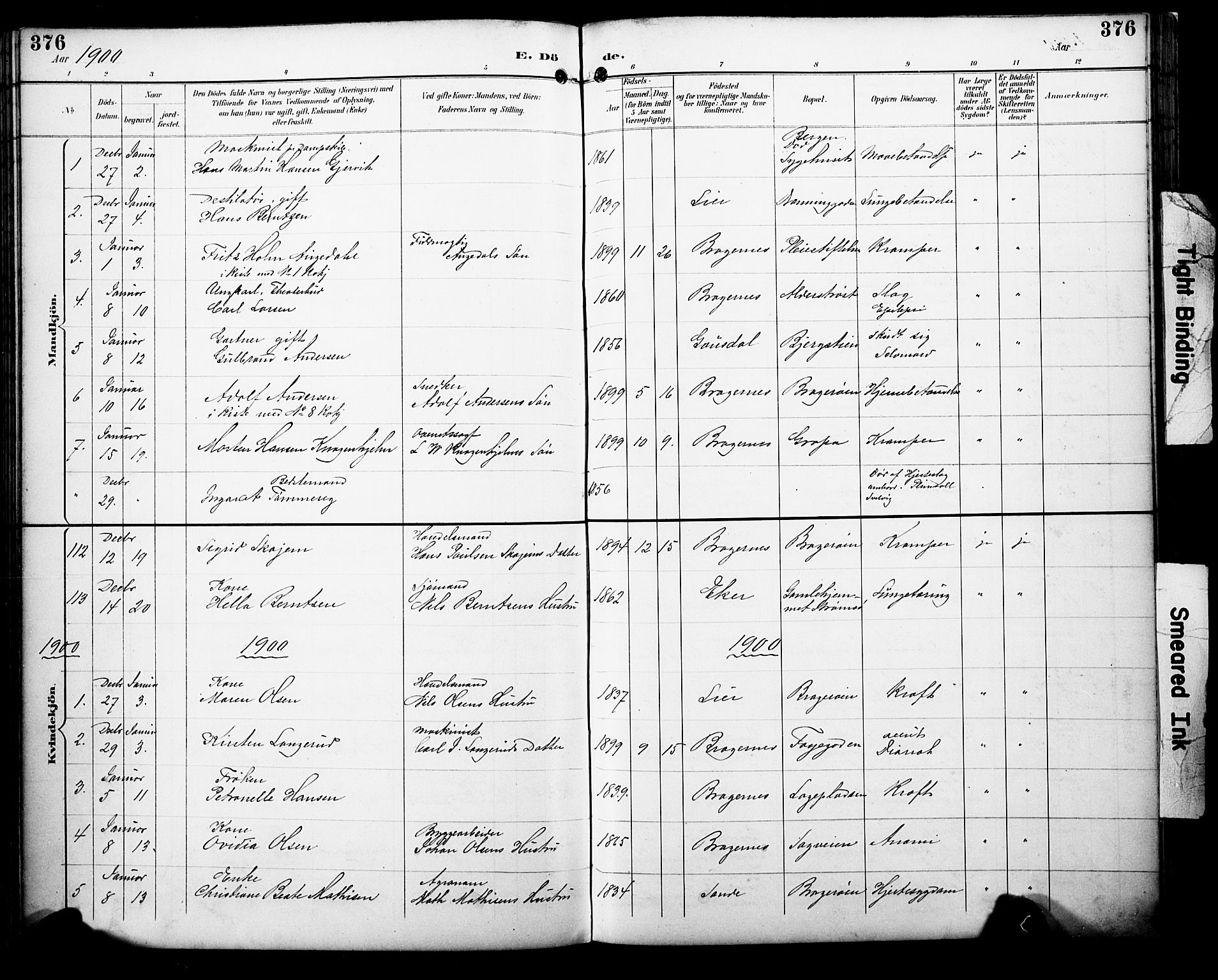 Bragernes kirkebøker, AV/SAKO-A-6/F/Fb/L0008: Parish register (official) no. II 8, 1894-1902, p. 376