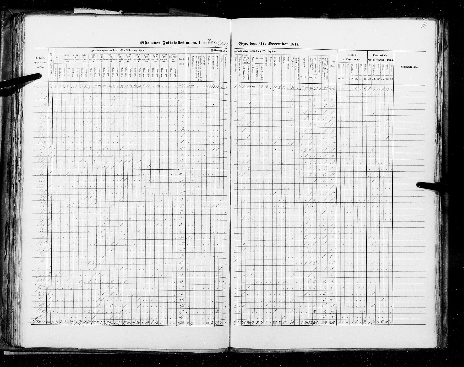 RA, Census 1845, vol. 11: Cities, 1845, p. 119