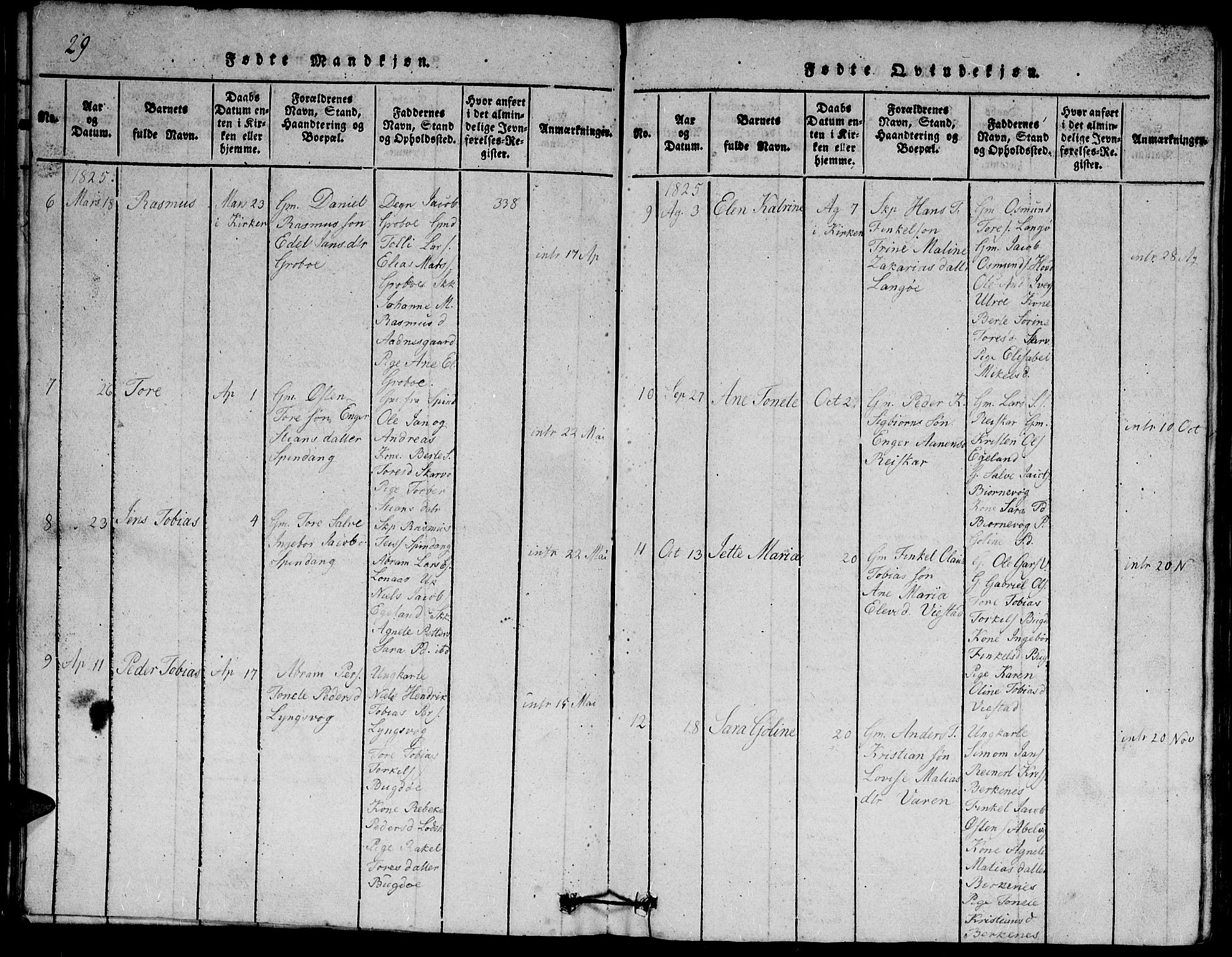 Herad sokneprestkontor, AV/SAK-1111-0018/F/Fb/Fbb/L0001: Parish register (copy) no. B 1, 1815-1852, p. 29