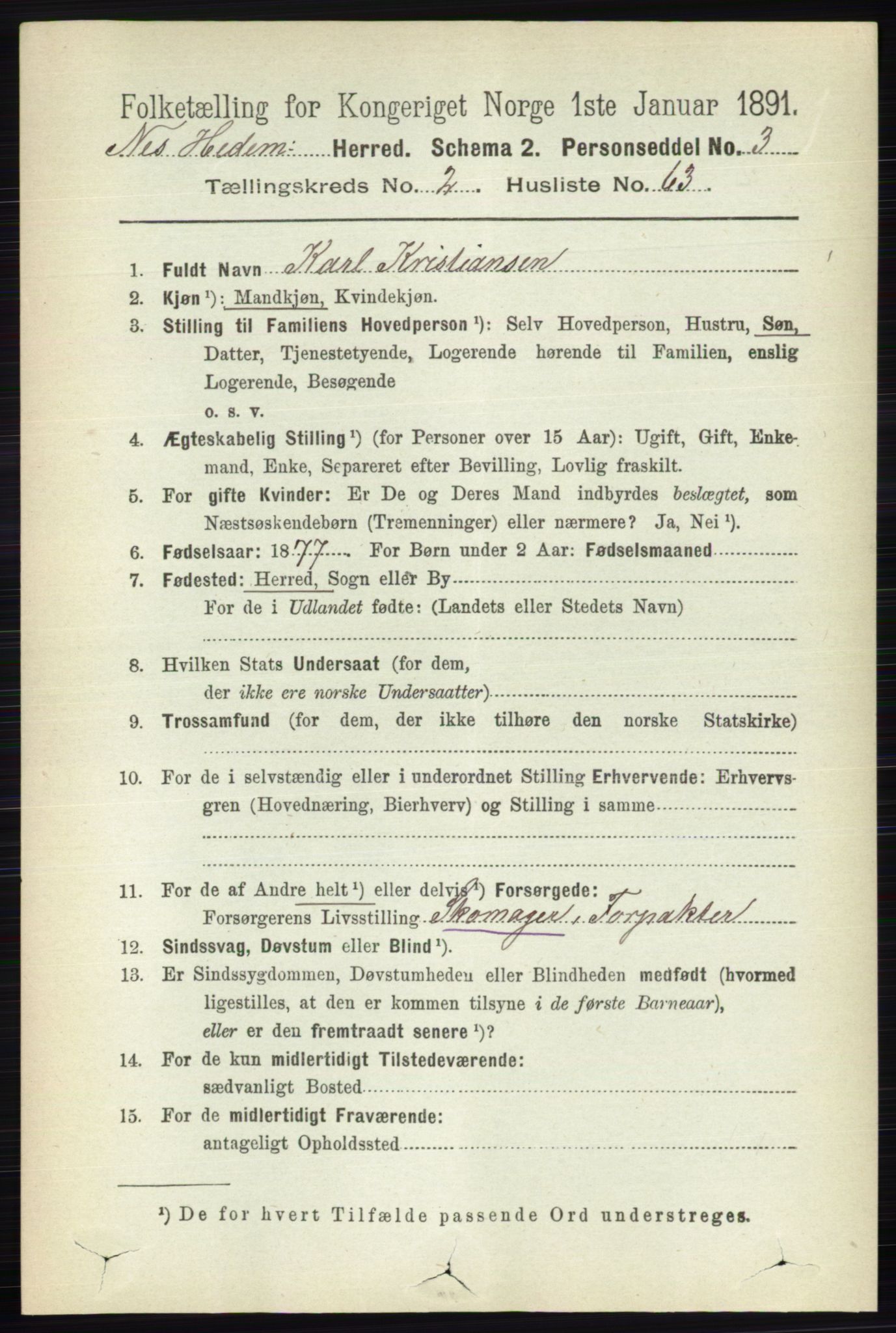 RA, 1891 census for 0411 Nes, 1891, p. 1511