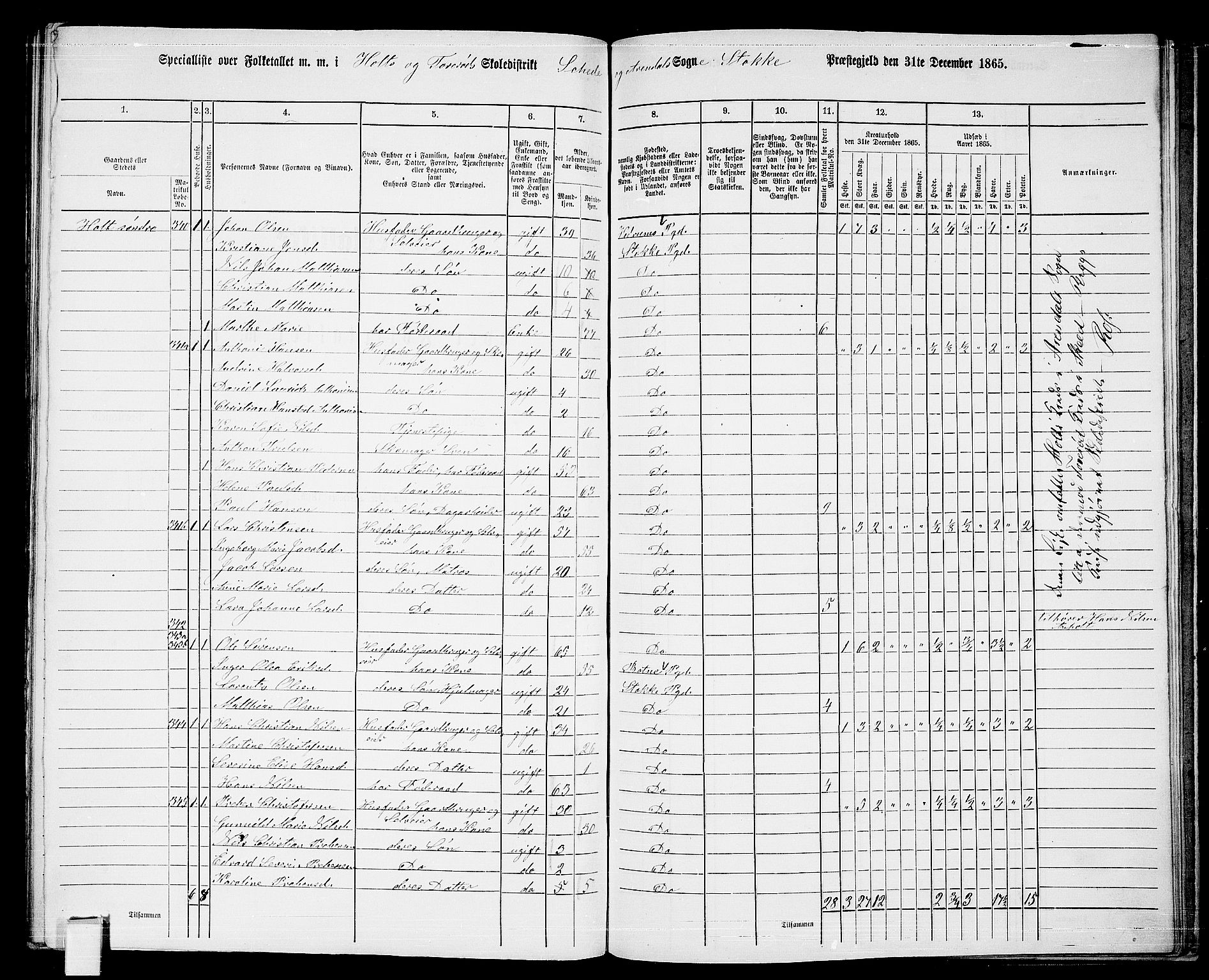 RA, 1865 census for Stokke, 1865, p. 167