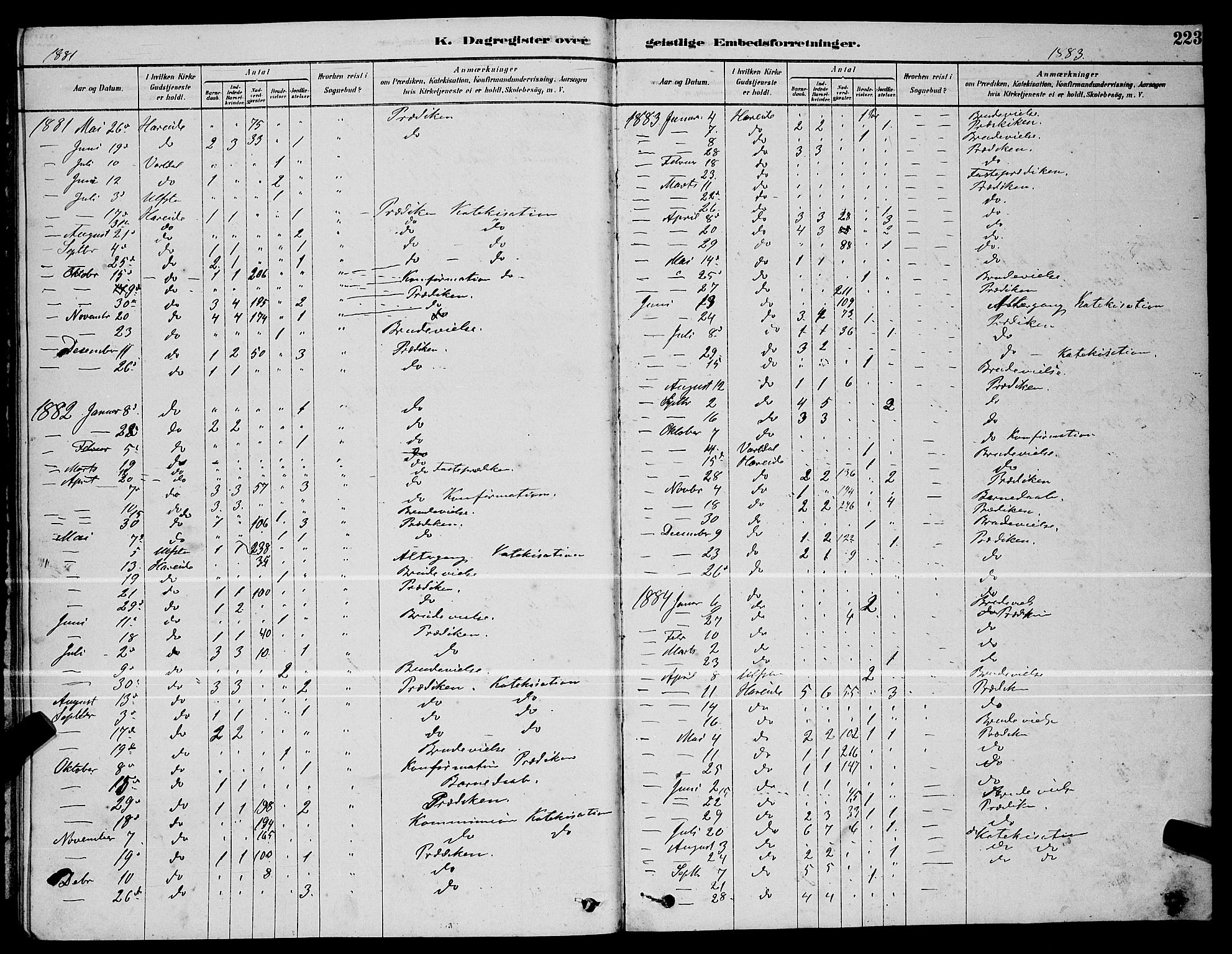 Ministerialprotokoller, klokkerbøker og fødselsregistre - Møre og Romsdal, SAT/A-1454/510/L0125: Parish register (copy) no. 510C02, 1878-1900, p. 223