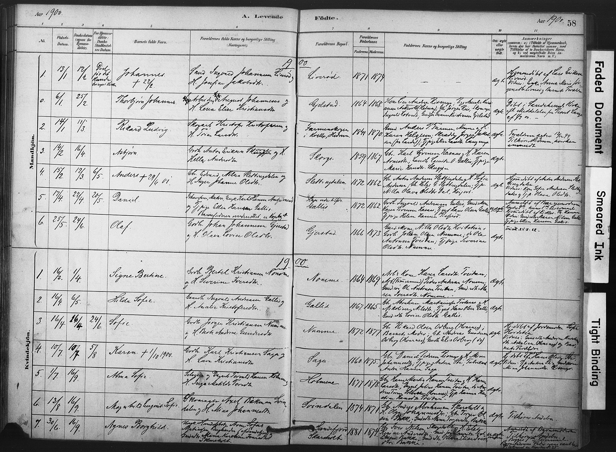 Andebu kirkebøker, AV/SAKO-A-336/F/Fa/L0008: Parish register (official) no. 8, 1878-1902, p. 58