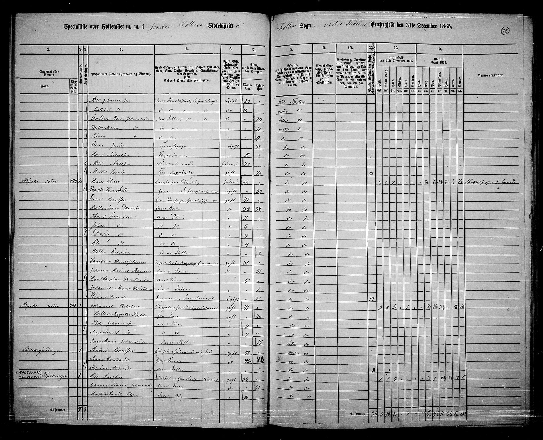 RA, 1865 census for Vestre Toten, 1865, p. 232